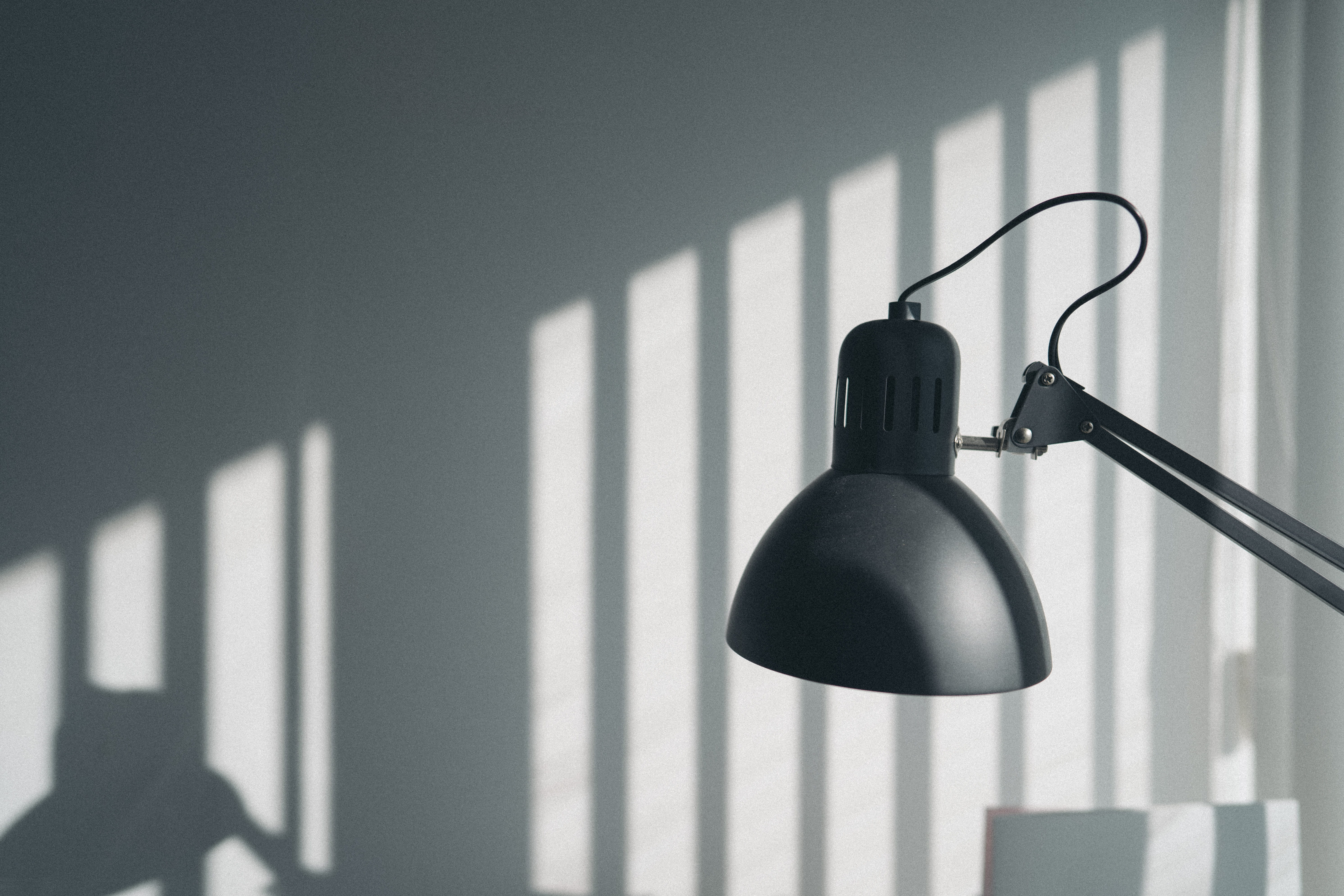lighting equipment, no people, close-up, flower, 5K, screen, electric lamp, indoors, still life, light fixture, plant, electronics, display, railing, ceiling, HD Wallpaper