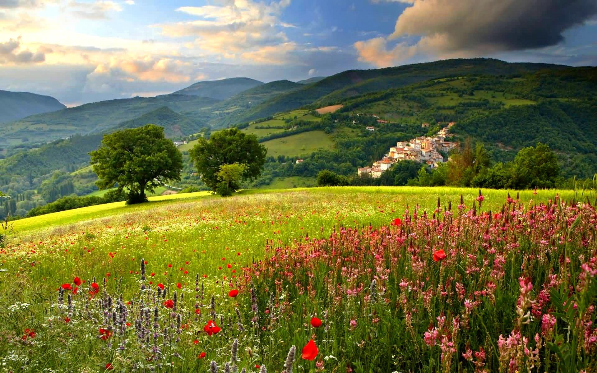 refreshing, scenery, field, mountain, clouds, 1080P, blossoms, houses, trees, 3d and abstract, HD Wallpaper