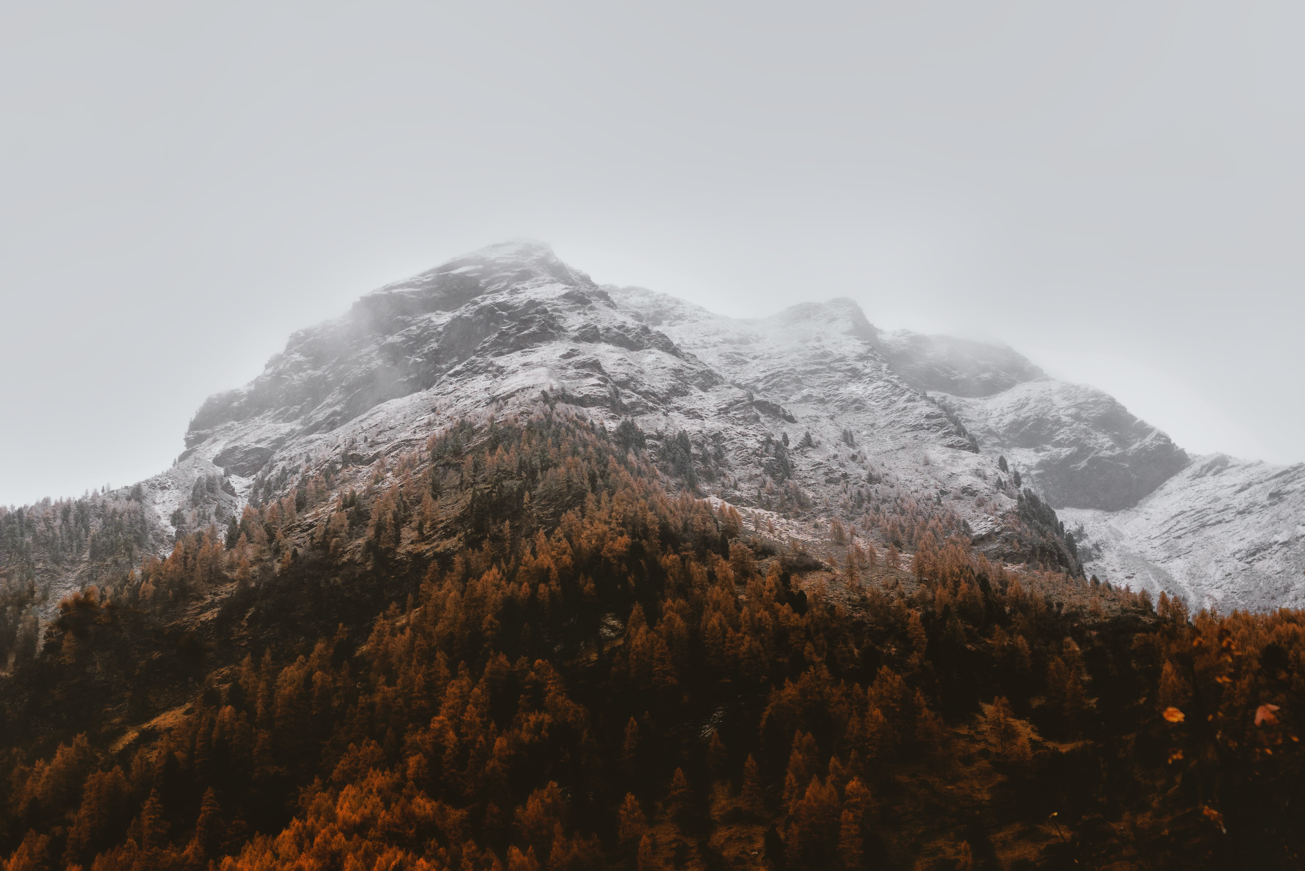 plant, mountain range, scenics - nature, environment, coniferous tree, winter, 5K, clouds, tranquil scene, snowcapped mountain, day, beauty in nature, HD Wallpaper