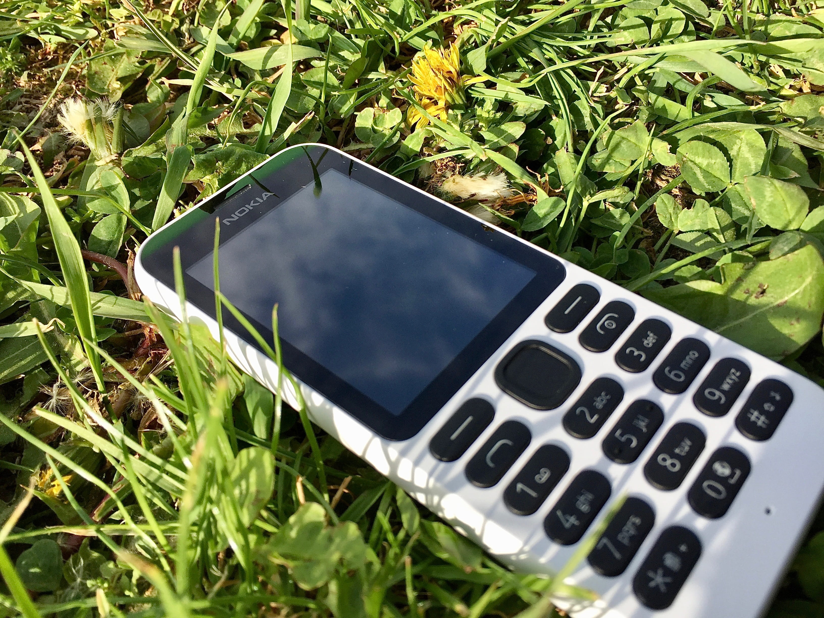global communications, Mobile, people, device screen, leaf, data, white, mobile phone, talking about, day, plant part, portability, plant, Nature, Green, HD Wallpaper