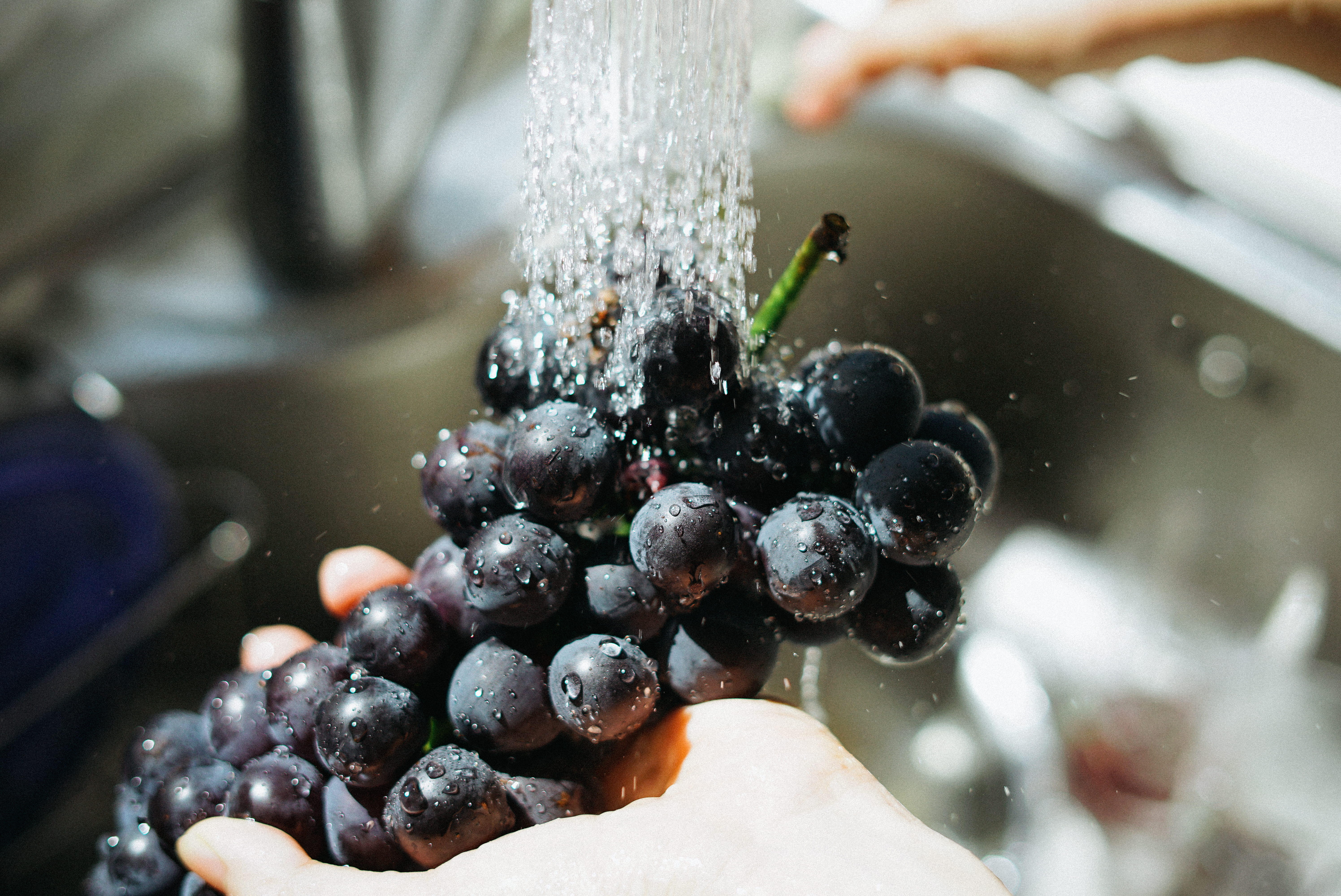 morning, water drops, nature, cleaning, sunshine, berry fruit, grapes, person, purple, human body part, holding, freshness, 5K, day, finger, closeup, faucet, HD Wallpaper