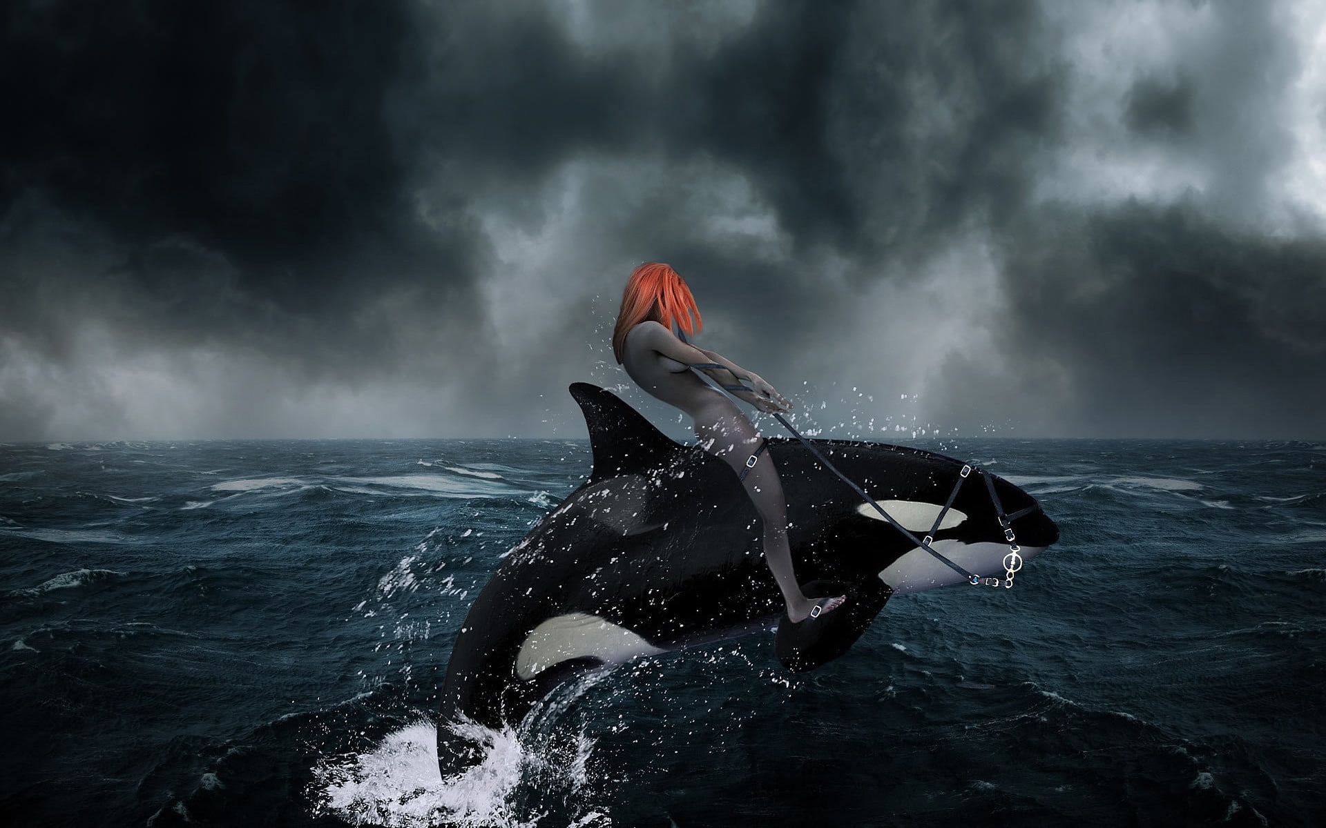 ocean, drive, 1080P, photo, riding, water, killer, dark, whale, fantasy, person, picture, HD Wallpaper