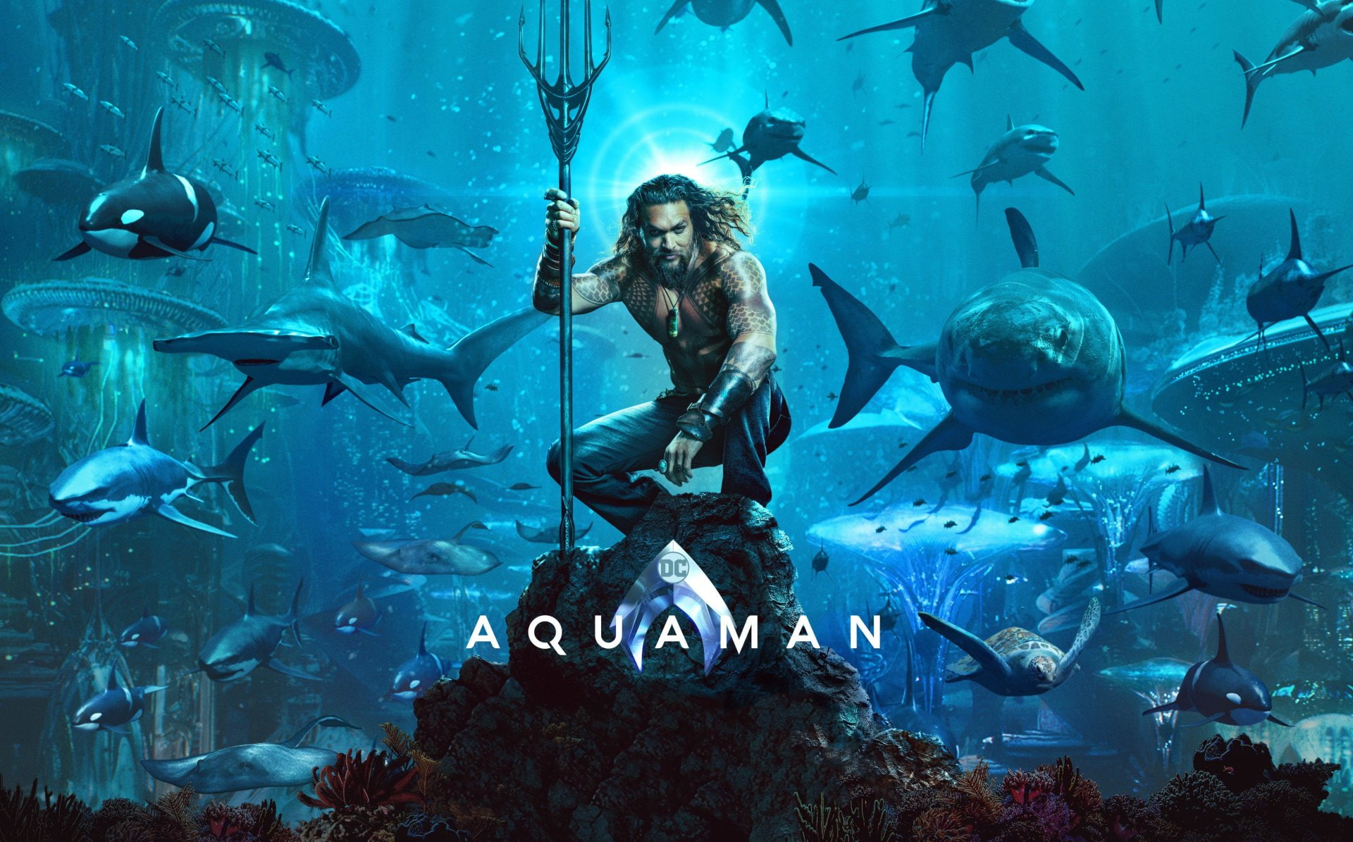 people, animals in the wild, Superhero, tank, Swordfish, vertebrate, 1080P, Arthur Curry, sea, large group of animals, Water, underwater, school of fish, HD Wallpaper