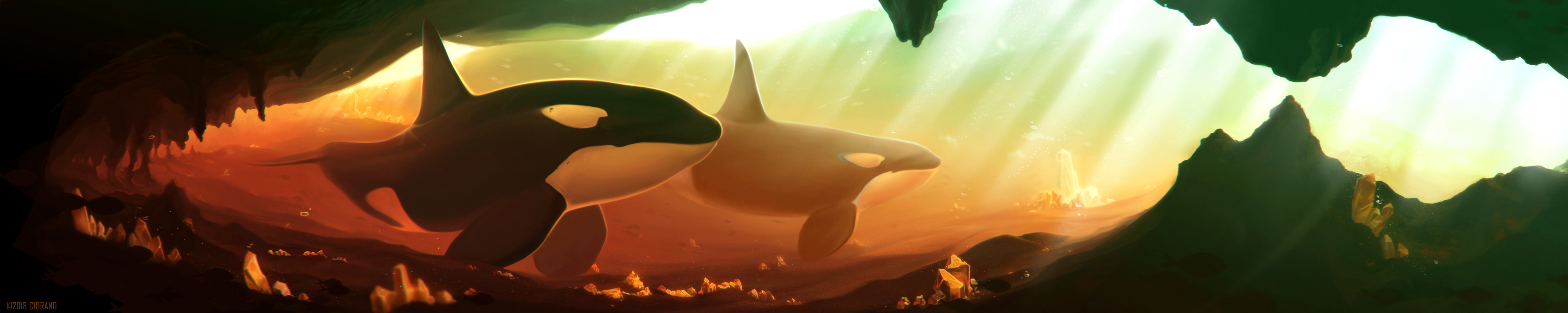 Animal, Orca, Fantasy Animals, Landscape, 4K, Crystal, HD Wallpaper