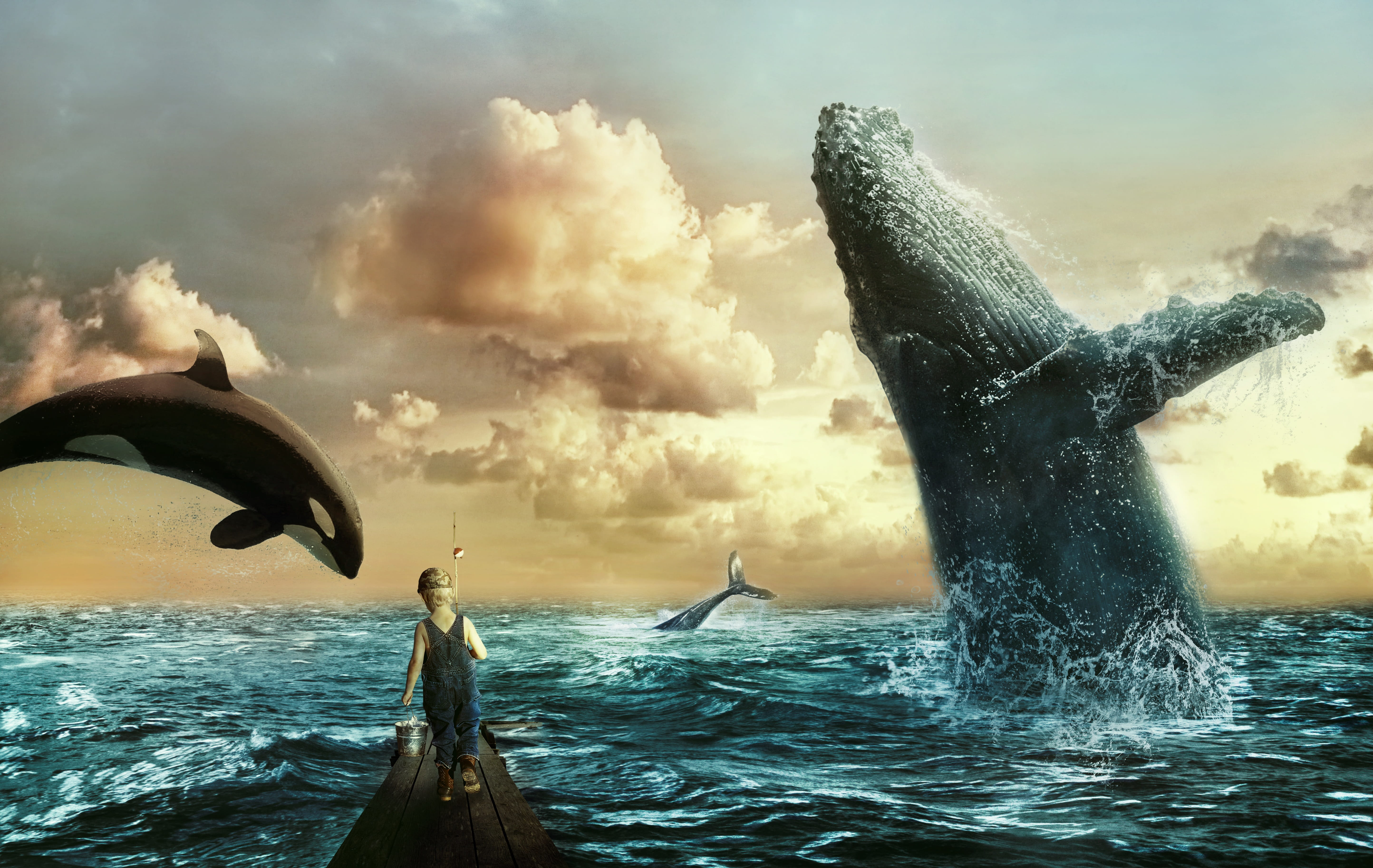 composing, fish, twilight, water splashes, motion, nature, cloud - sky, outdoors, clouds, group of animals, beauty in nature, sky, fairytale, ocean, animal, HD Wallpaper