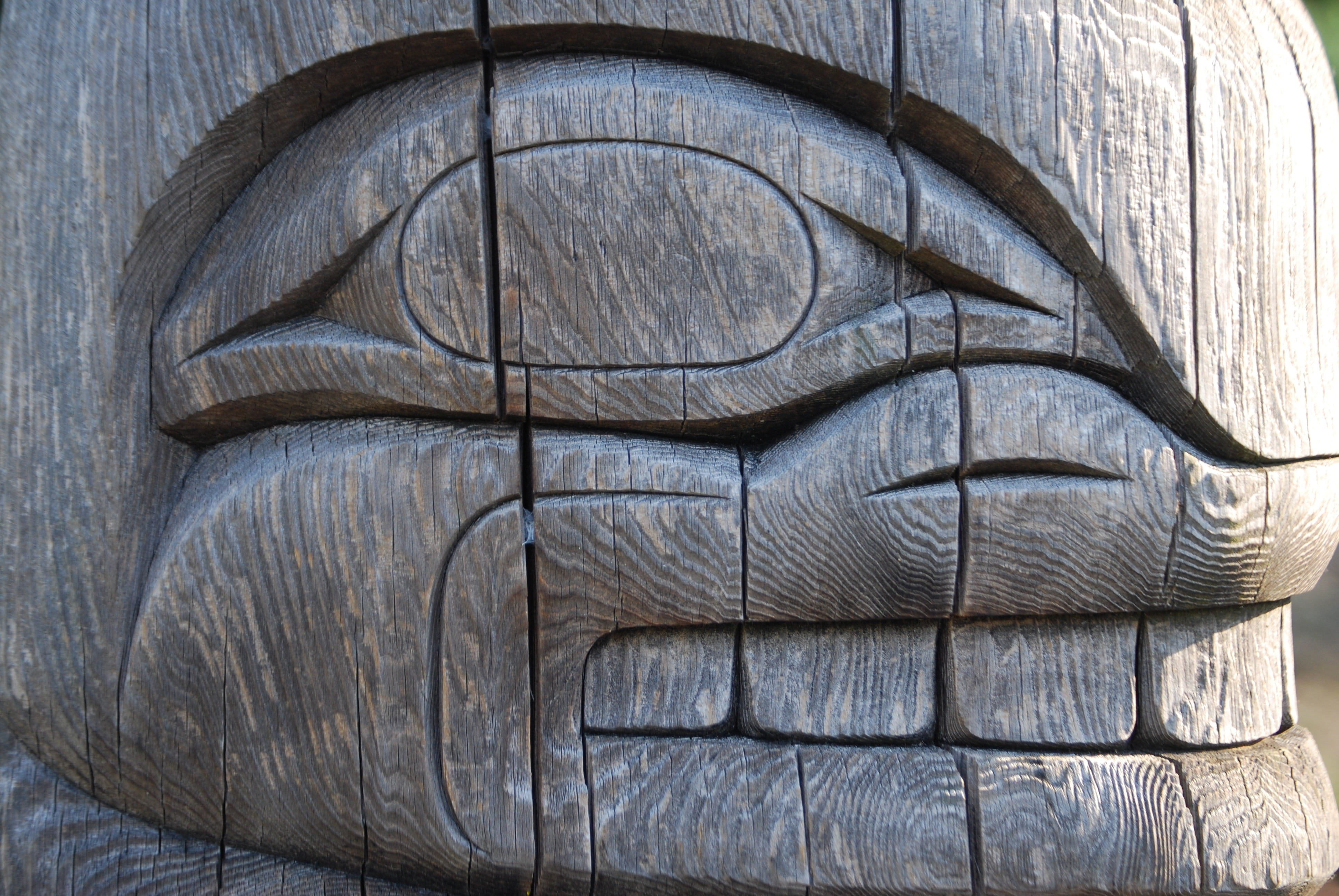 wood, day, animal themes, pattern, carving - craft product, indigenous, backgrounds, wood grain, one animal, killer, no people, textured, wood - material, HD Wallpaper