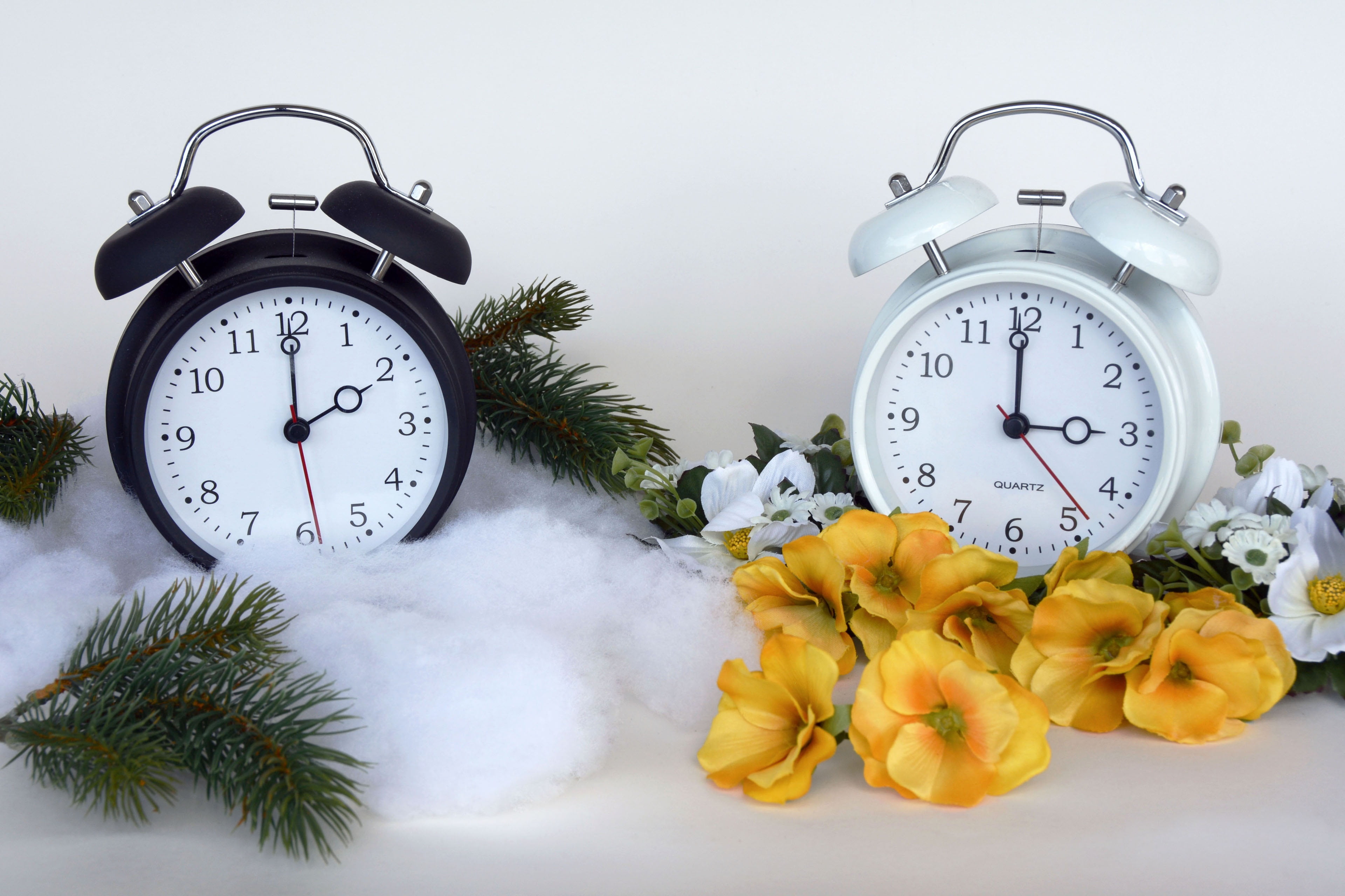 time, winter time, alarm, clock, white, 4K, deadline, clocks, time indicating, single object, number, nostalgia, plant, shape, still life, no people, uhrumstellung, HD Wallpaper