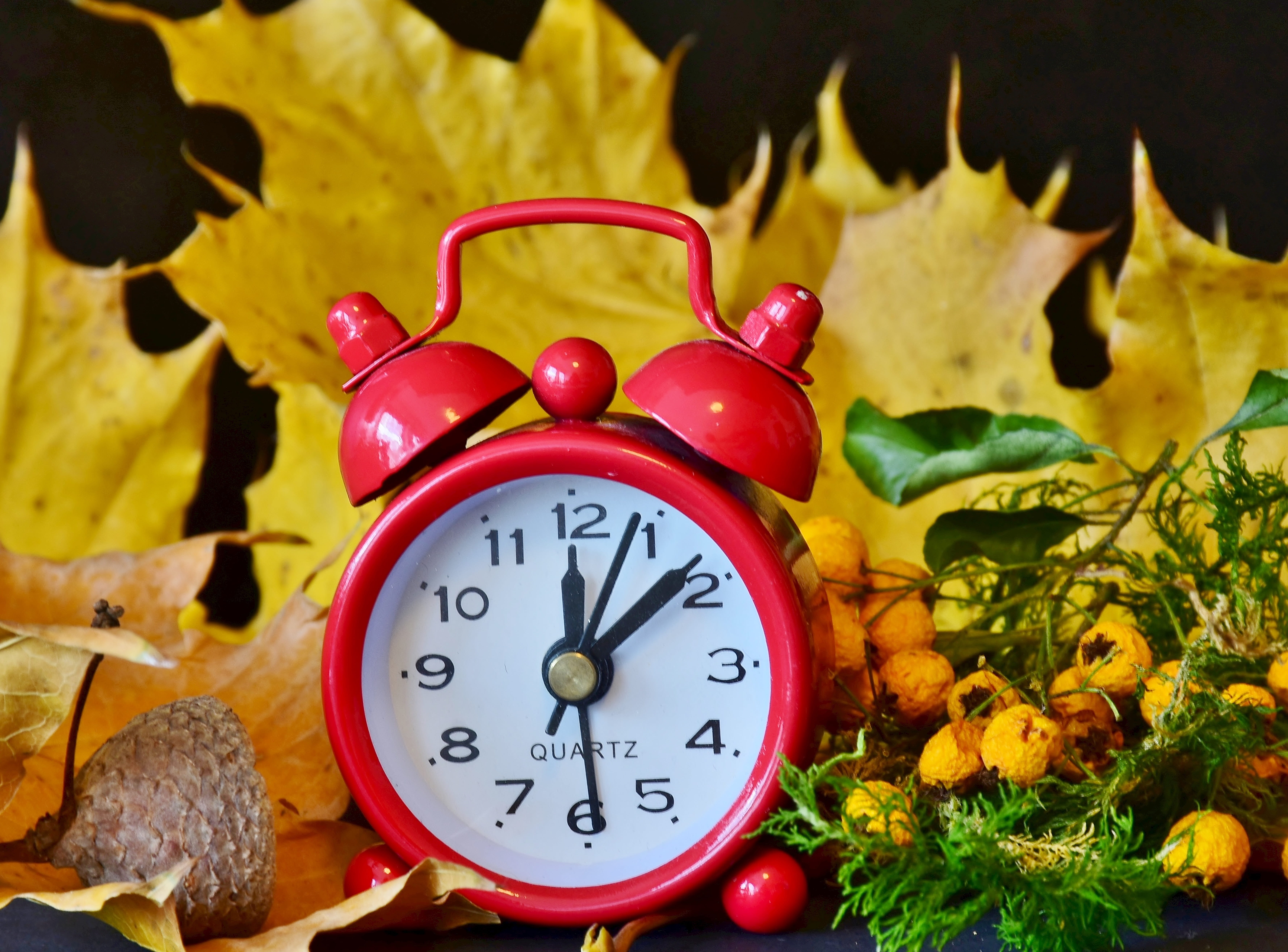time indicating, still life, time, 5K, timepiece, autumn, leaf, close-up, instrument of time, no people, winter, minute hand, wintertime, clock face, indoors, HD Wallpaper