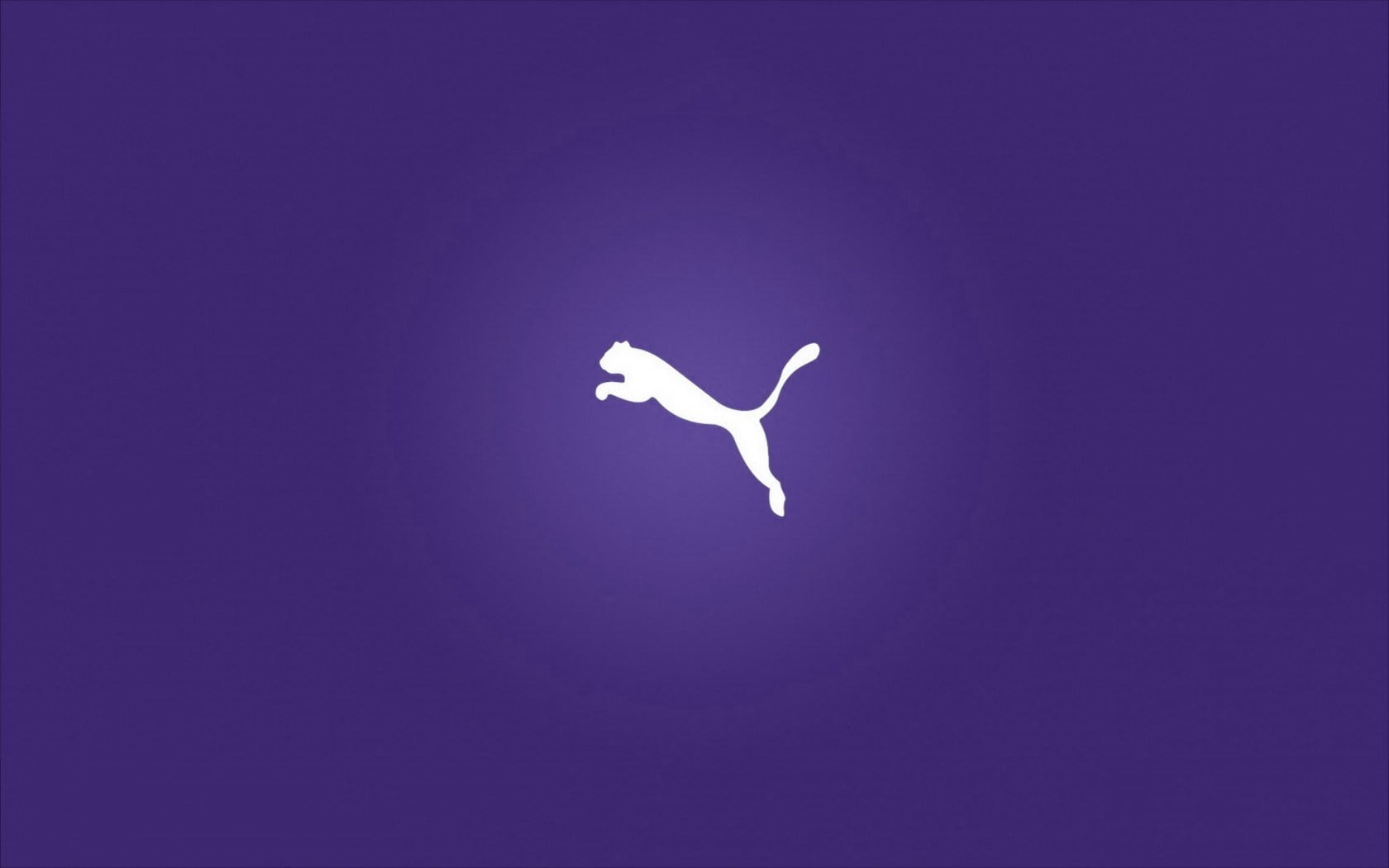 white color, animal themes, animal, water, colored background, indoors, one animal, 720P, bird, simplicity, mid-air, purple, Other, puma, mammal, background, HD Wallpaper