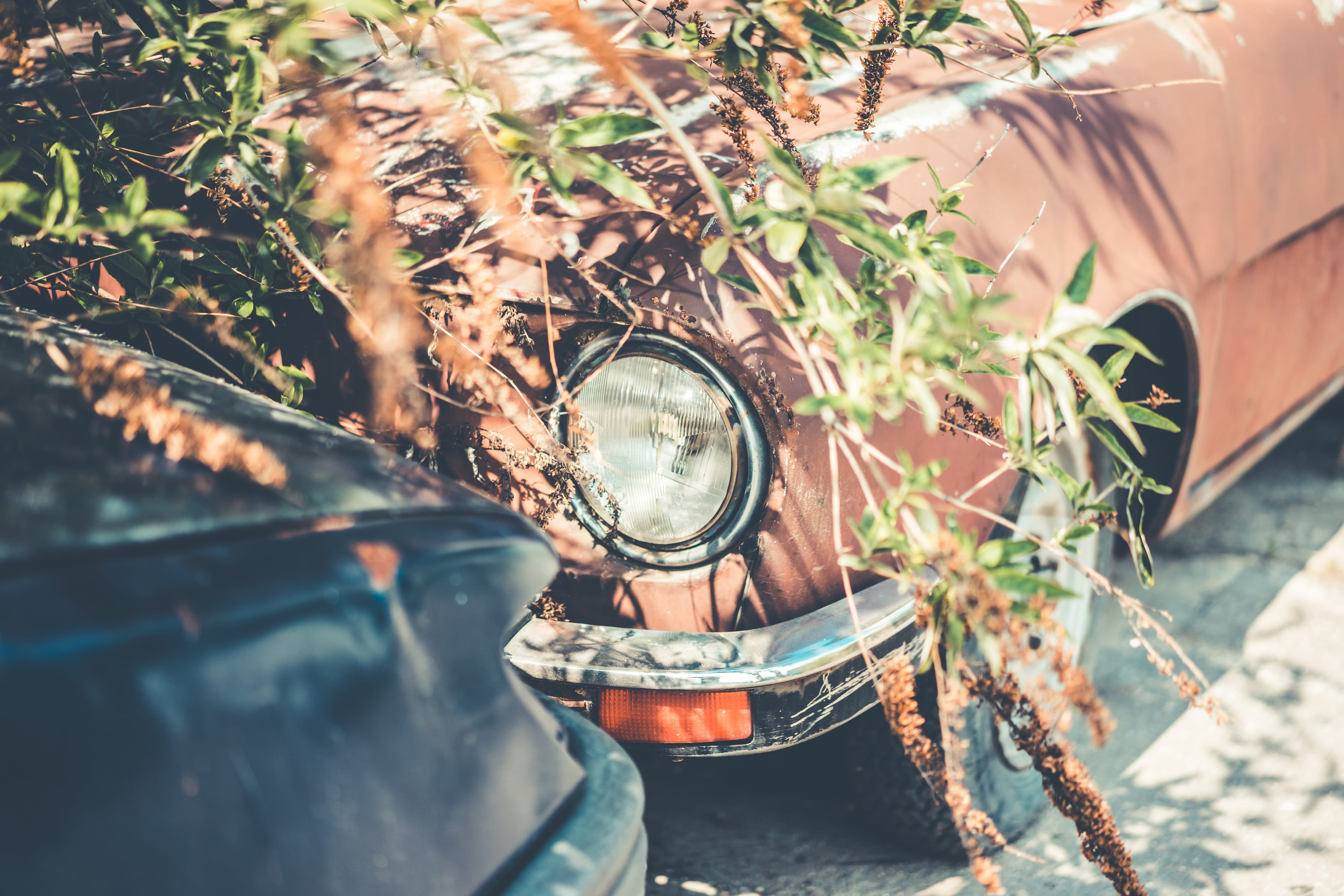 obsolete, outdoors, 4K, motor vehicle, mode of transportation, plant, Automobile, selective focus, headlights, wheel, oldtimer, land Vehicle, no People, HD Wallpaper