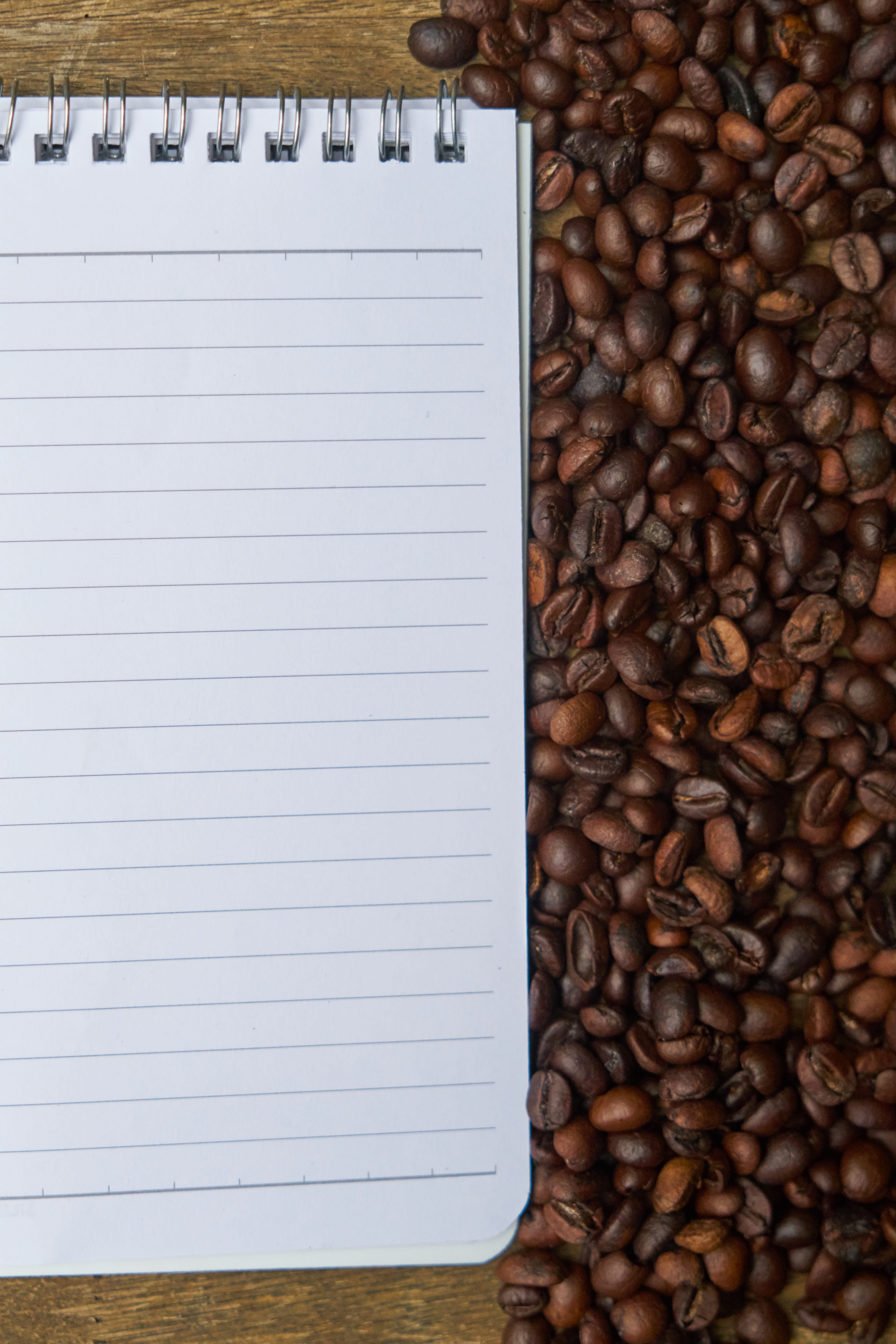 kitchen, backgrounds, seed, white color, work, wood, book, the work, freshness, article, espresso, restaurant, take notes, coffee, drink, white, food photo, Phone HD Wallpaper