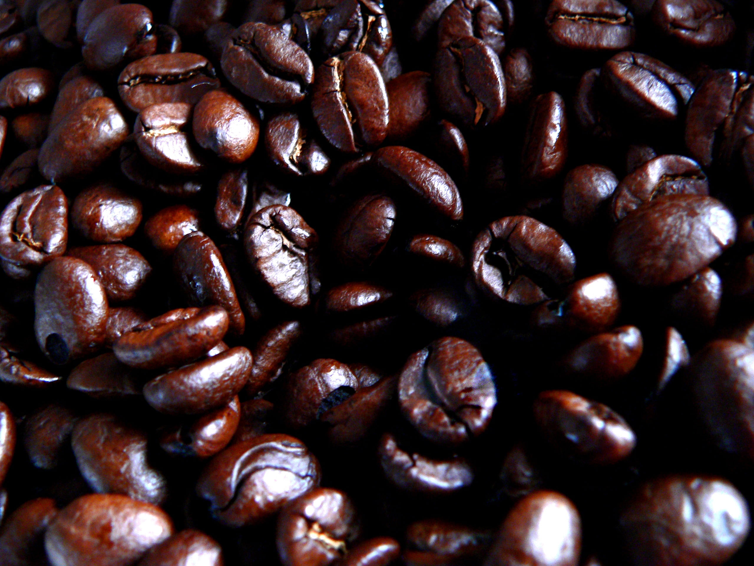 ground, delicious, morning, coffee bean, breakfast, large group of objects, still life, backgrounds, cafe, java, heap, beverage, flavour, brown, energy, HD Wallpaper