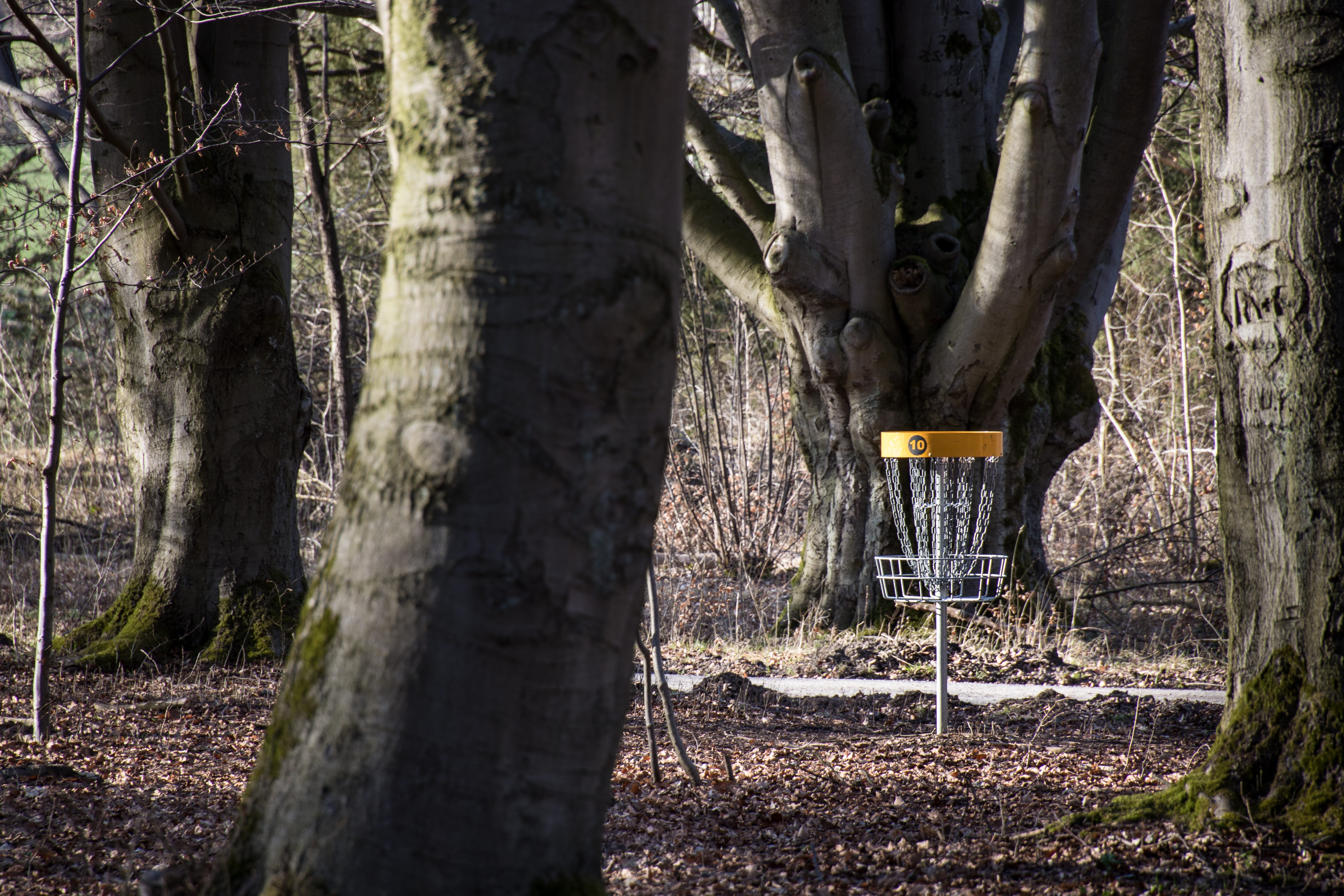 sunlight, disc golf basket, beauty in nature, field, sign, land, leisure, non-urban scene, no people, tranquility, tree, growth, tranquil scene, woodland, HD Wallpaper