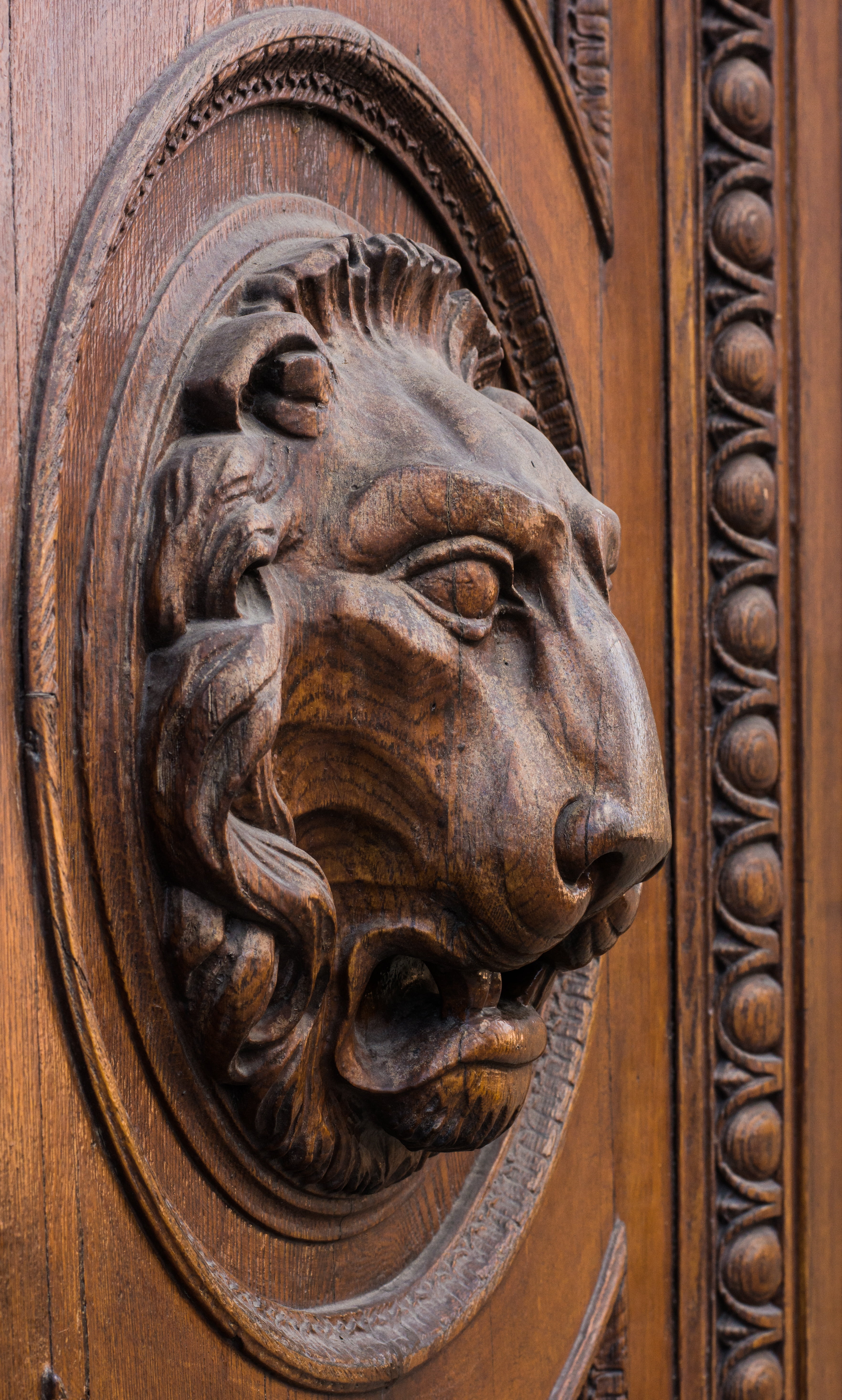 the past, face, wooden, craft, carved, historically, head, ornate, bas relief, art and craft, brown, goal, lion, door, side, architecture, lion head, figure, Phone HD Wallpaper