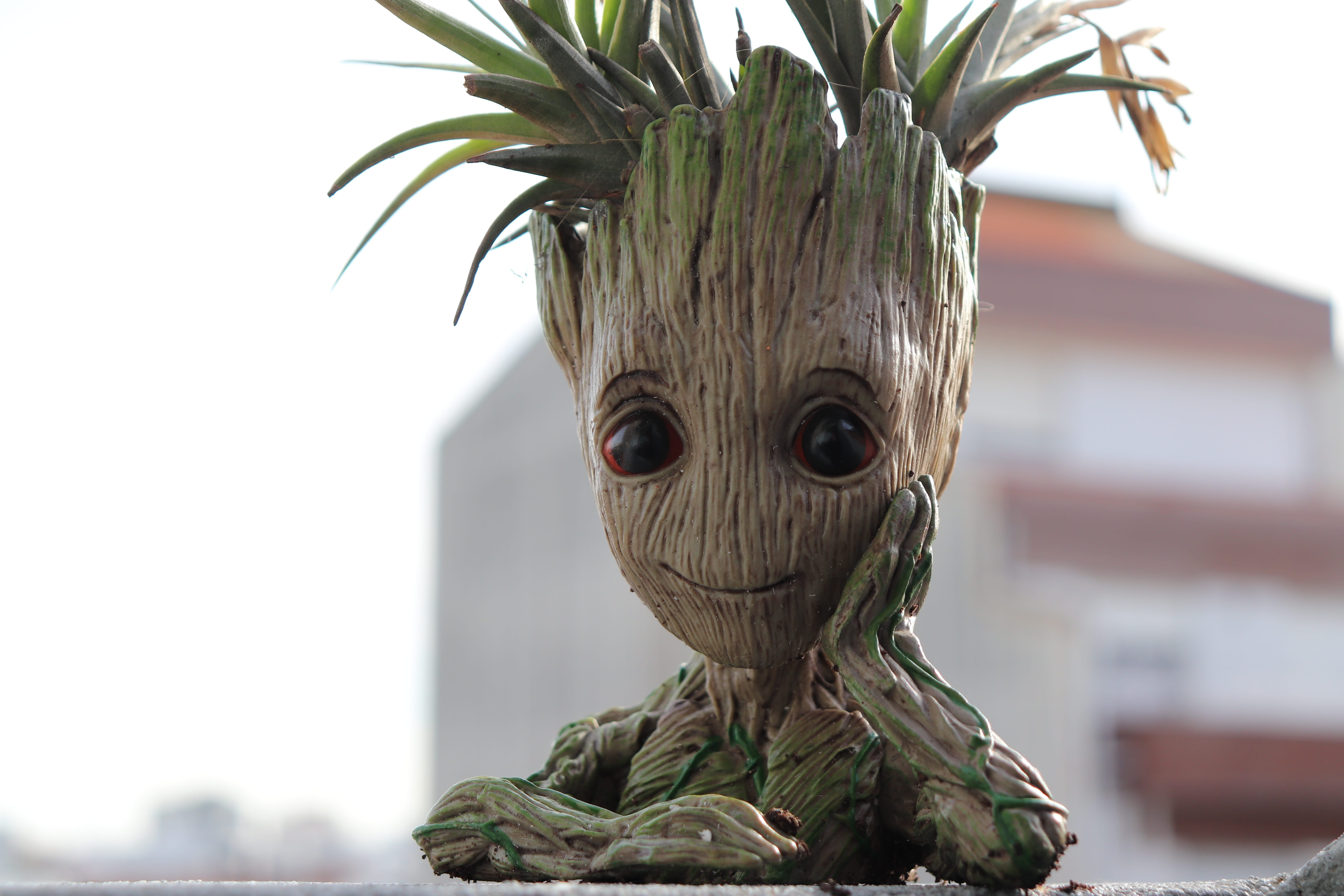 focus on foreground, green color, 5K, looking at camera, day, close-up, nature, plant, groot, joy, outdoors, tree, art and craft, fantasy, sculpture, creativity, HD Wallpaper