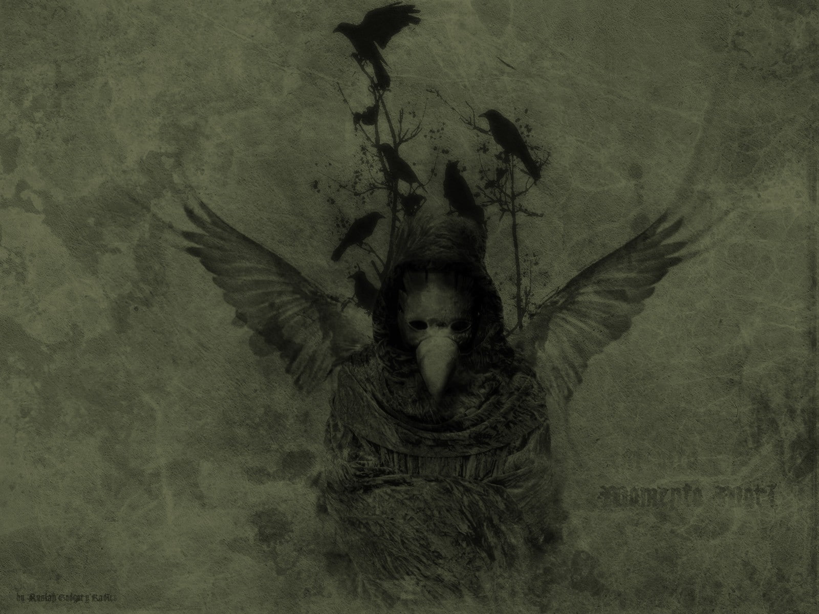 720P, Plague Doctors, birds, HD Wallpaper