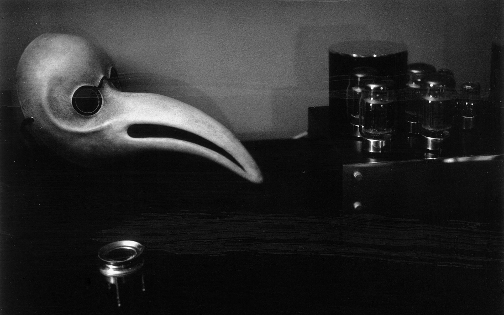 1080P, masks, grayscale, plague, doctor, HD Wallpaper