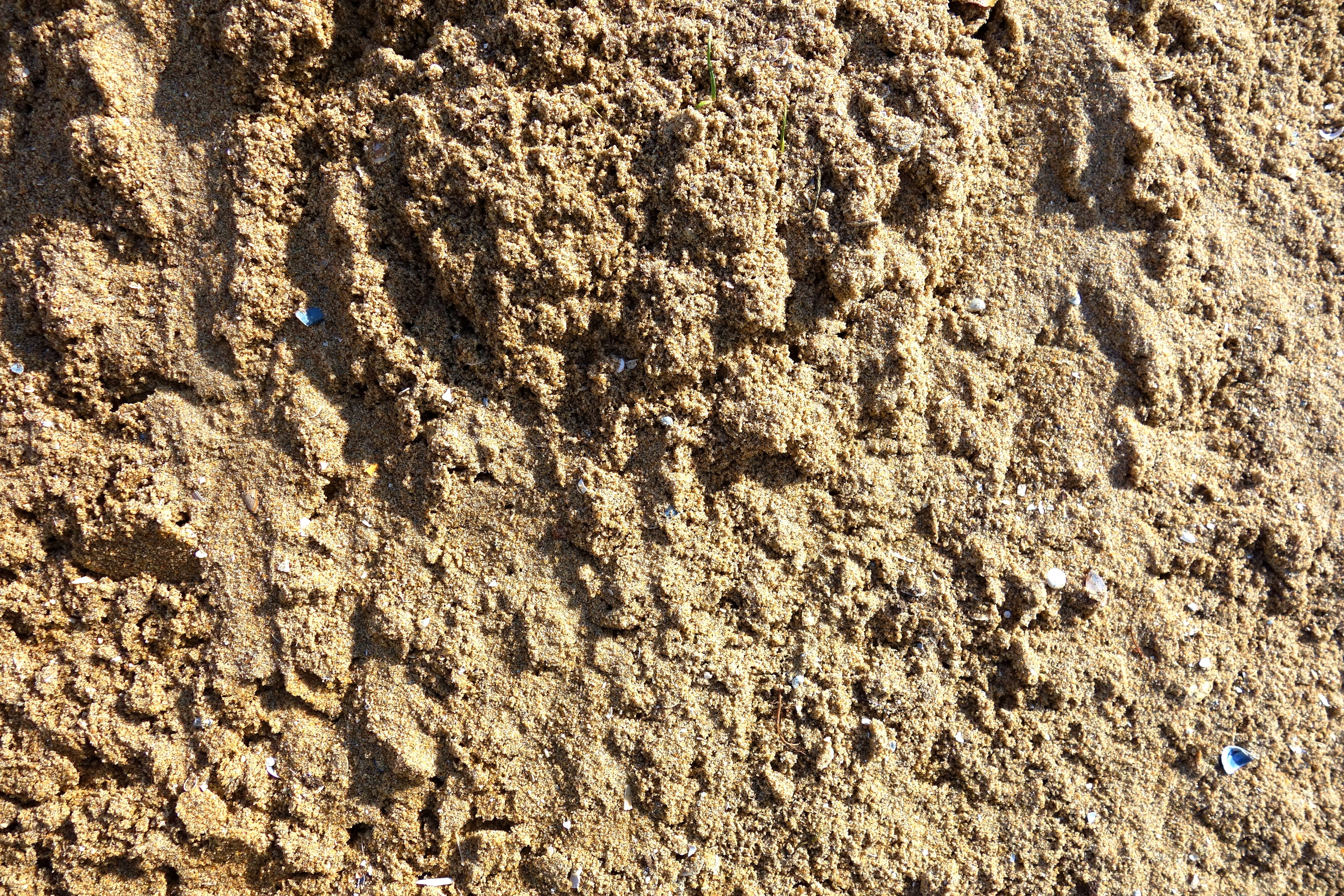 full frame, particles, tranquility, high angle view, light brown, dirt, beach, day, mud, grain, backgrounds, granular, beige, land, sand grain, close-up, HD Wallpaper