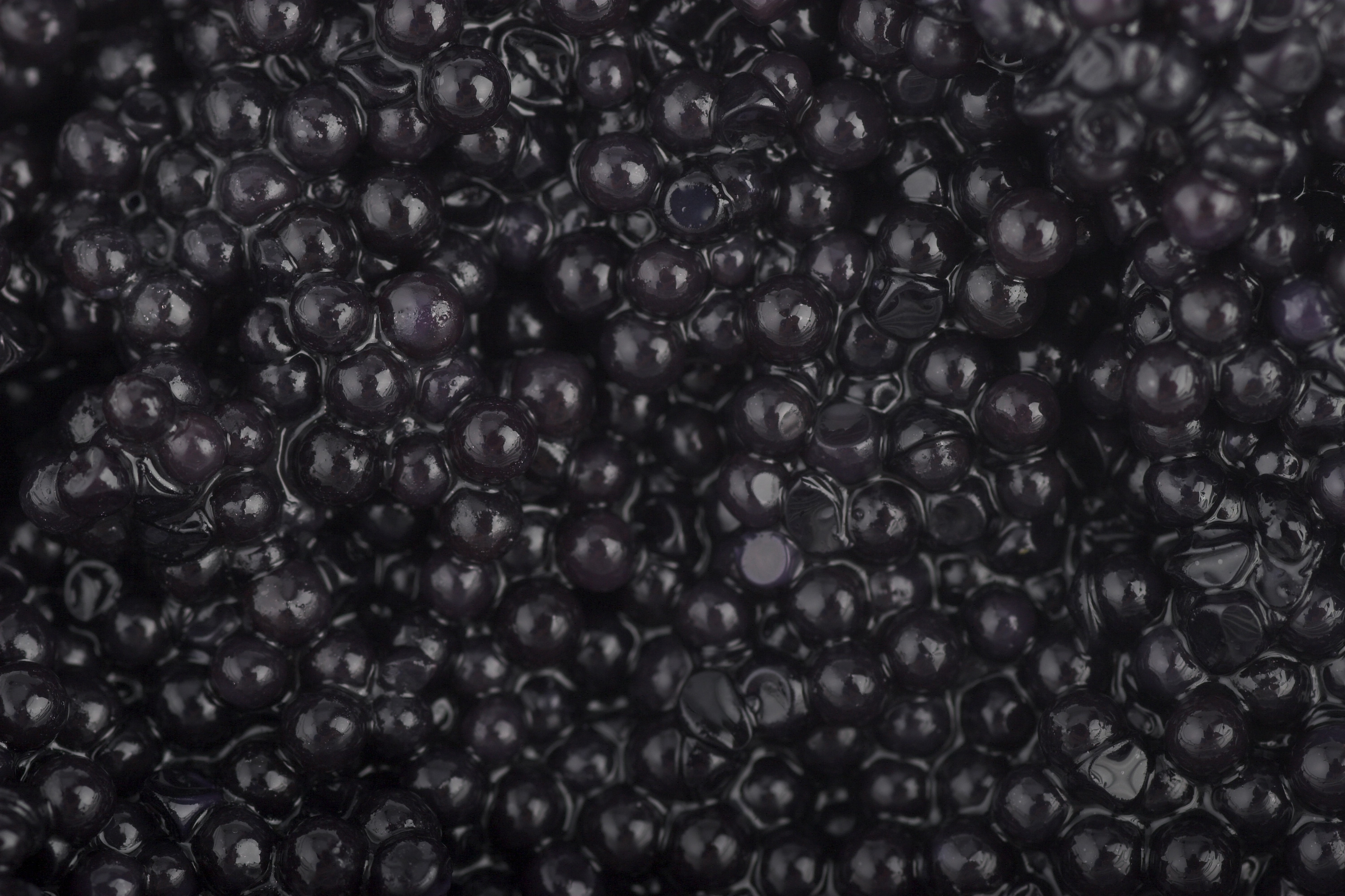 fruit, no people, heap, backgrounds, full frame, food and drink, healthy eating, berry fruit, black color, food, group, indoors, freshness, Caviar, wellbeing, HD Wallpaper