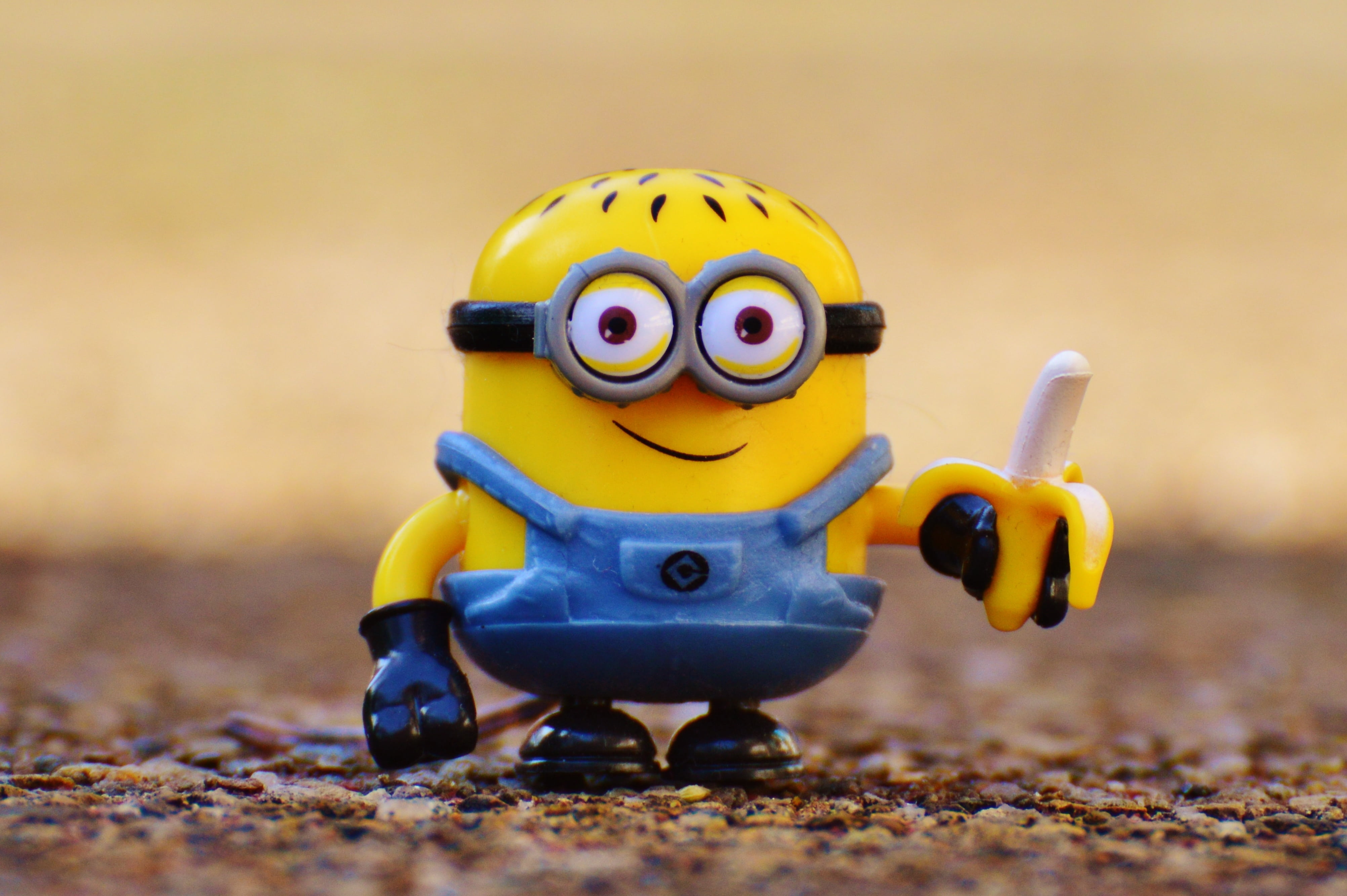 focus on foreground, small, childhood, sea, photography, fruit, cute, outdoors, figure, vertebrate, day, minion, plastic, fun, nature, toy, yellow, representation, HD Wallpaper