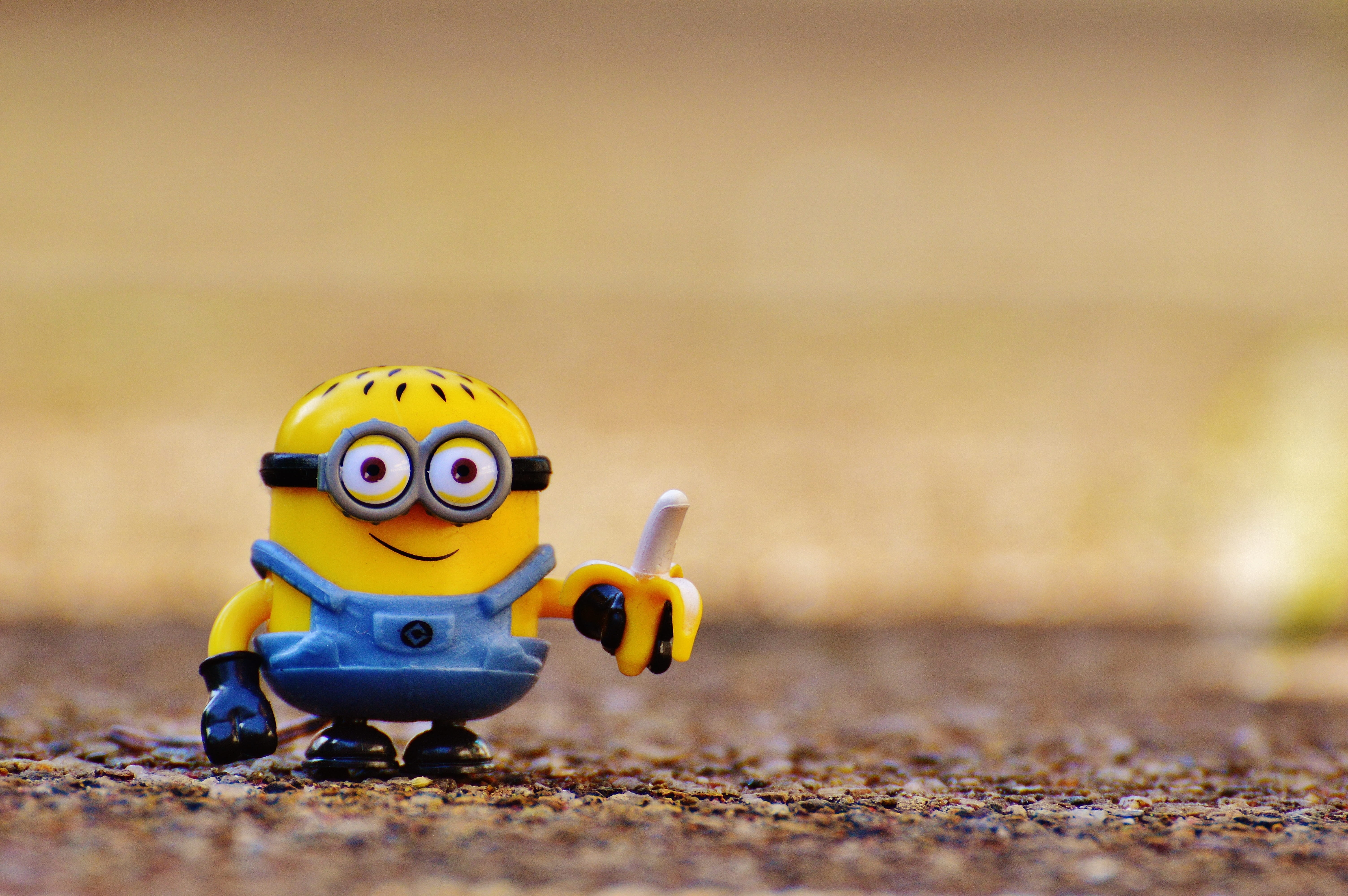 pebble, eat, animal wildlife, selective focus, figurine, fun, disney, creativity, Toys, outdoors, toy, 5K, cute, color Image, animal representation, land, HD Wallpaper