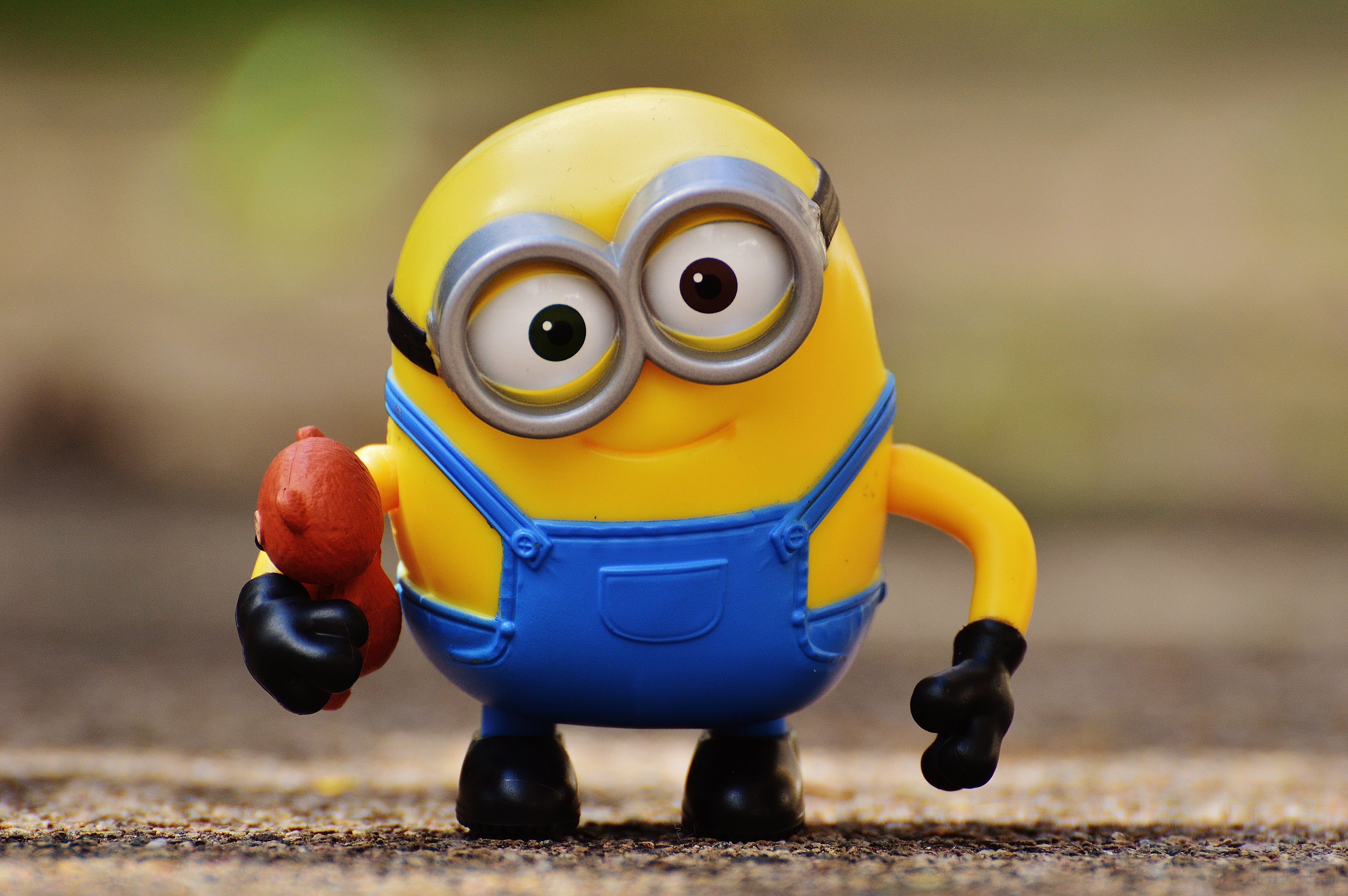 people, humor, children, toy, minion, adventure, cute, travel, fun, helmet, 5K, offspring, bears, toys, representation, childhood, robot, funny, outdoors, HD Wallpaper