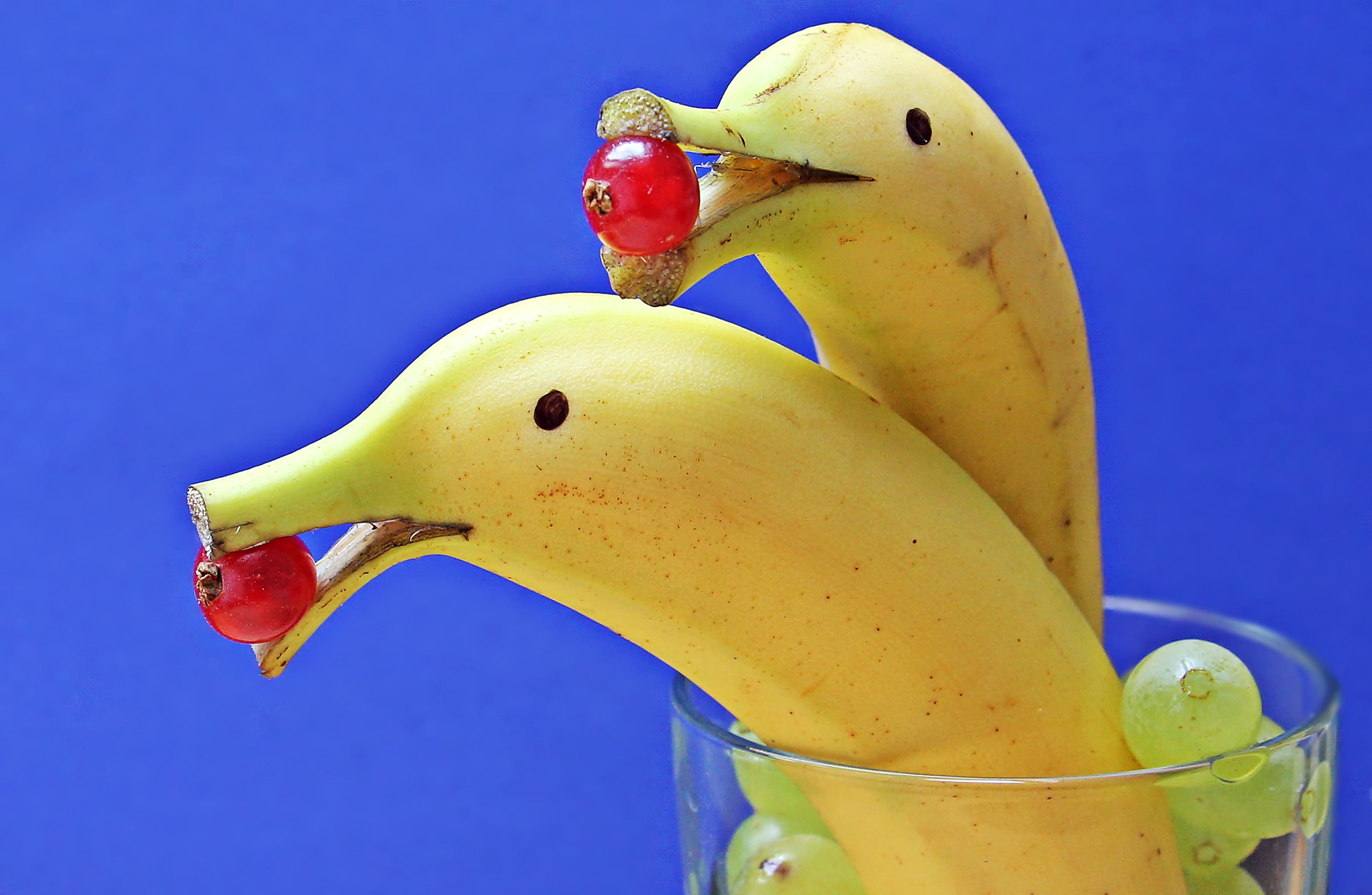 food, dolphins, blue background, studio shot, water, funny, 4K, eat, food and drink, blue, decoration ideas, two, colored background, yellow, banana, red, HD Wallpaper