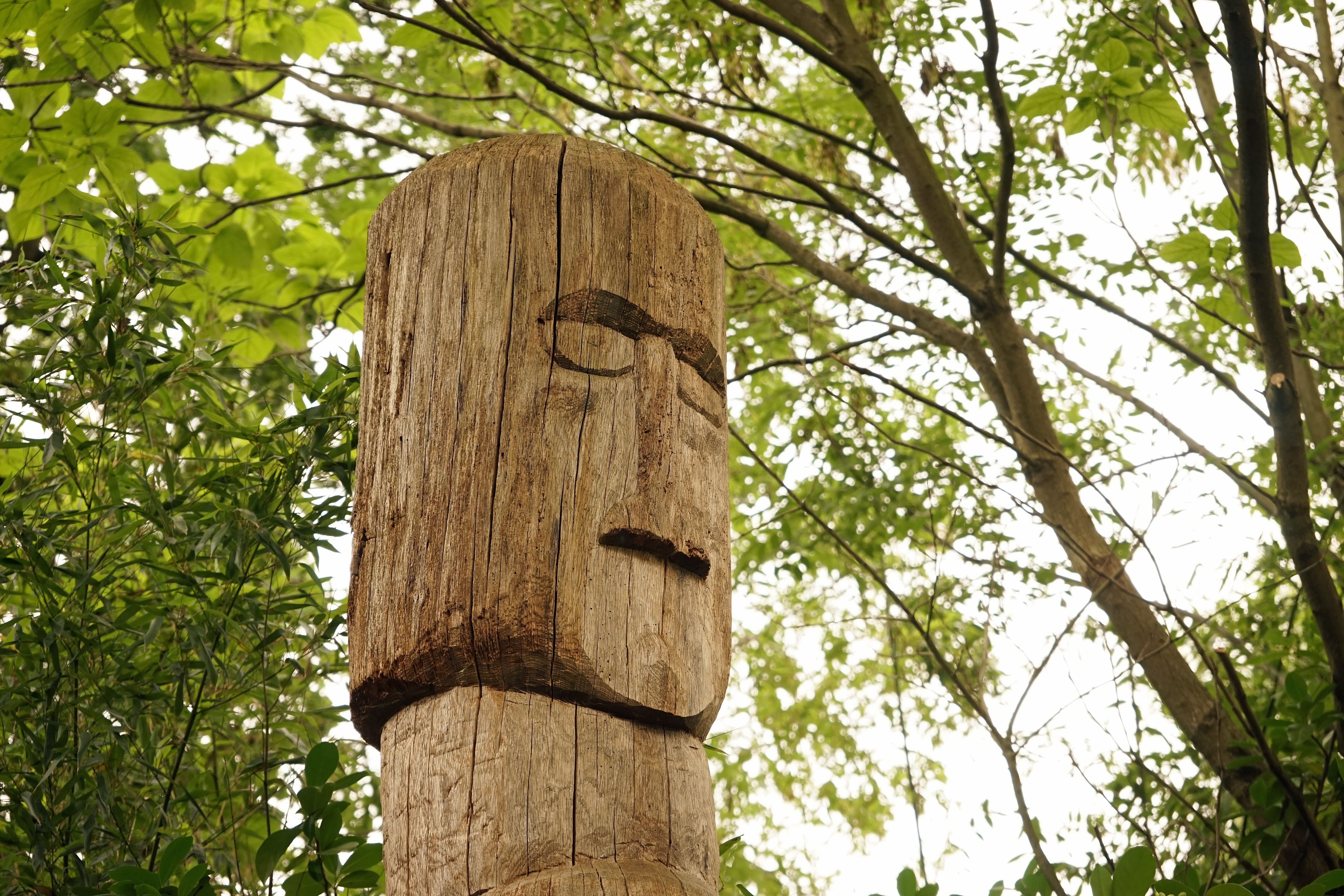 focus on foreground, tree, beauty in nature, wood - material, totem pole, low angle view, no people, wood pile, outdoors, tree trunk, figure, plant, green color, HD Wallpaper