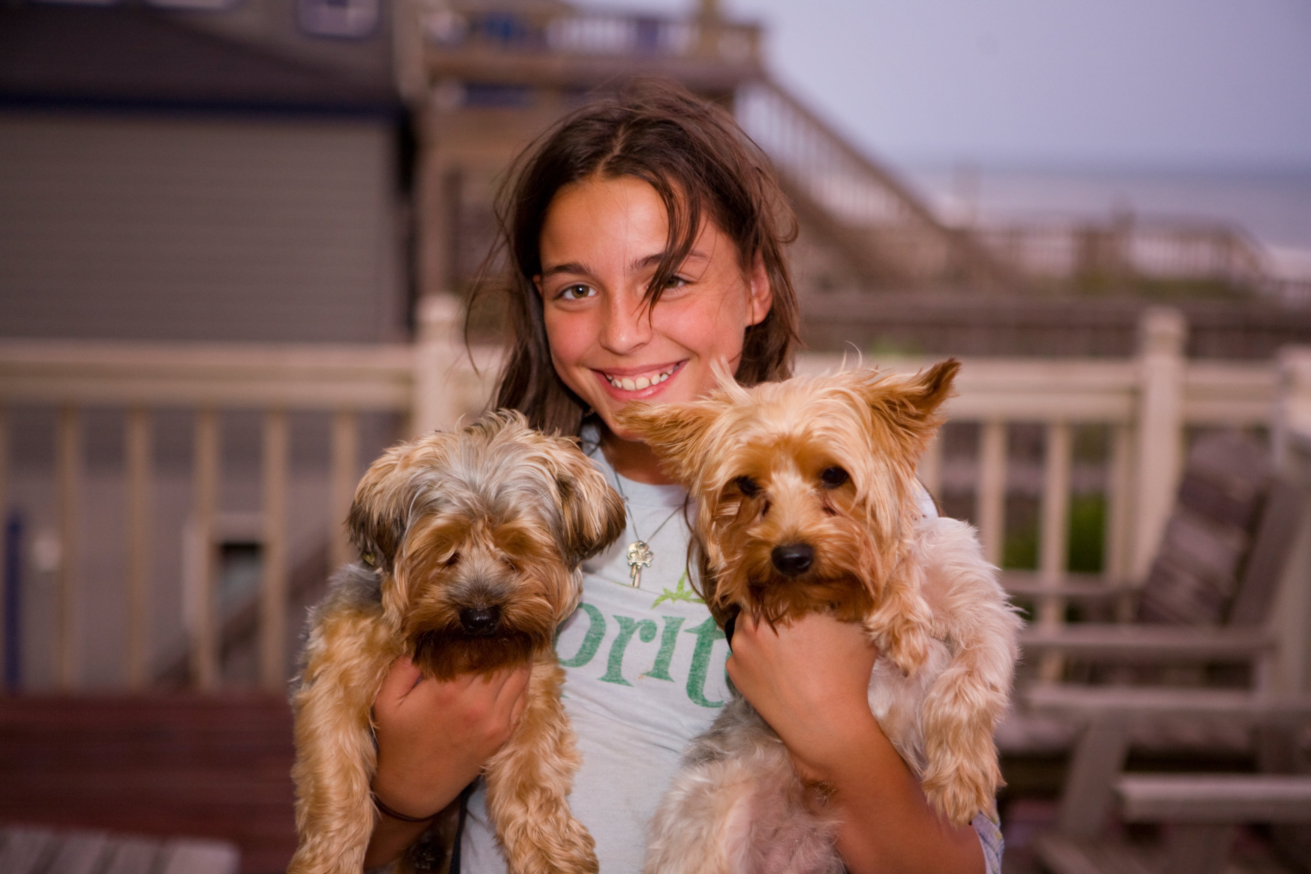 outdoors, girl, little, one animal, animal, positive emotion, smile, smiling, children, women, 4K, domestic animals, purebred dog, kids, dogs, people, HD Wallpaper