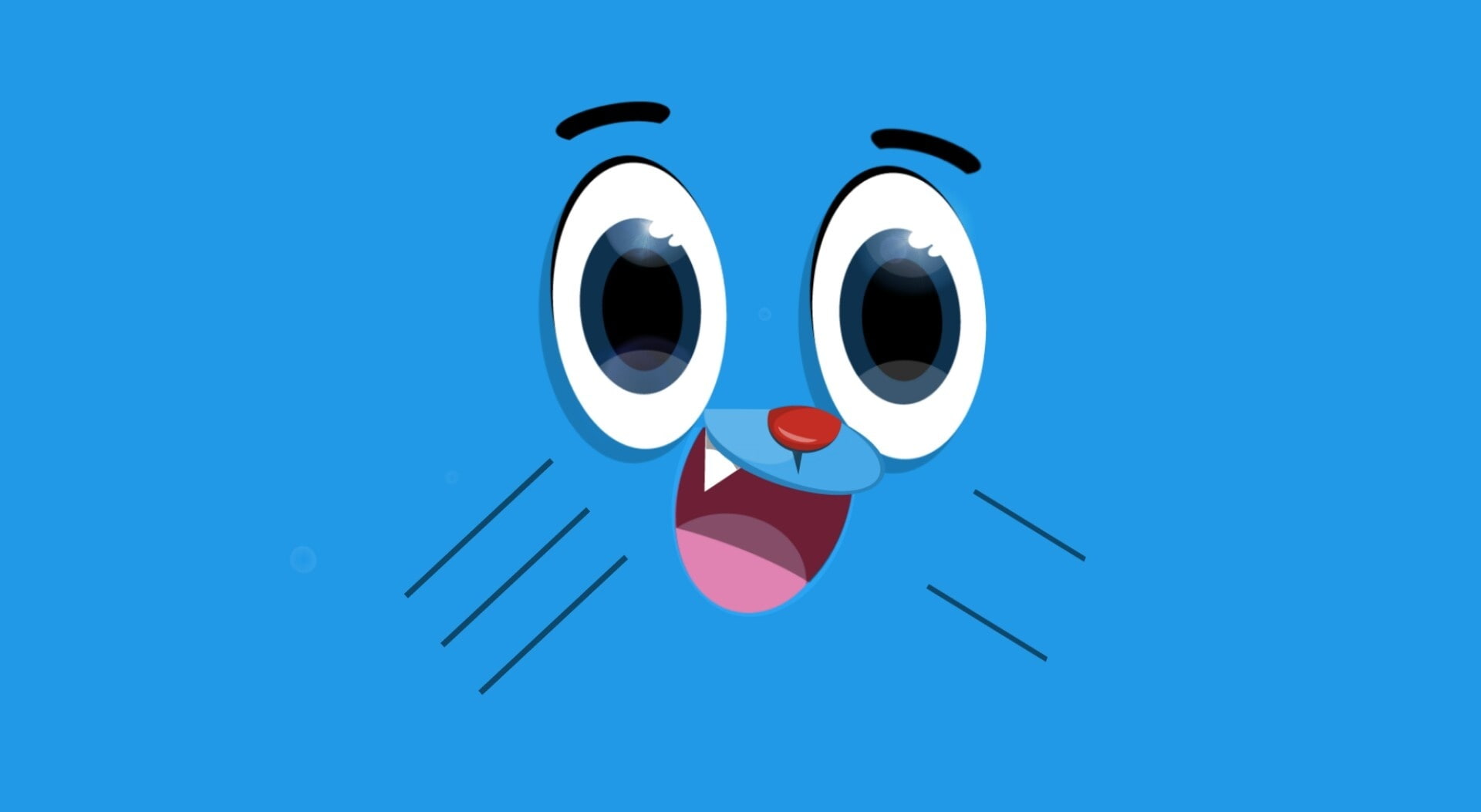 indoors, cat, nature, gumball, reflection, geometric shape, arts culture and entertainment, blue, 1080P, Others, pink color, still life, studio shot, face, HD Wallpaper