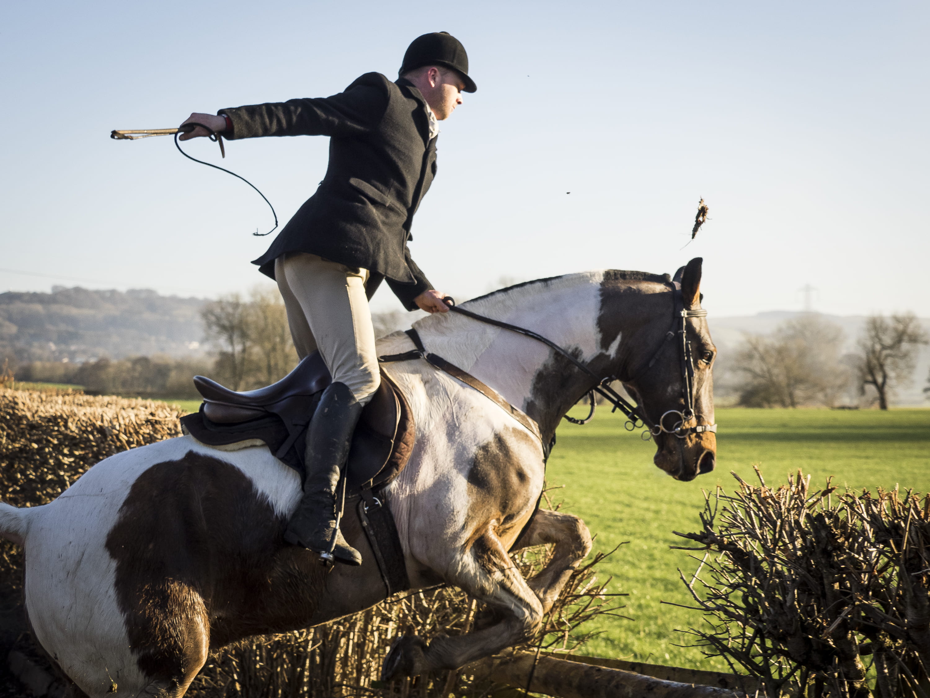 one person, saddle, outdoors, domestic, jumping, field, competition, united kingdom, nature, man, cheshire, animal themes, mammal, riding, stirrup, land, HD Wallpaper