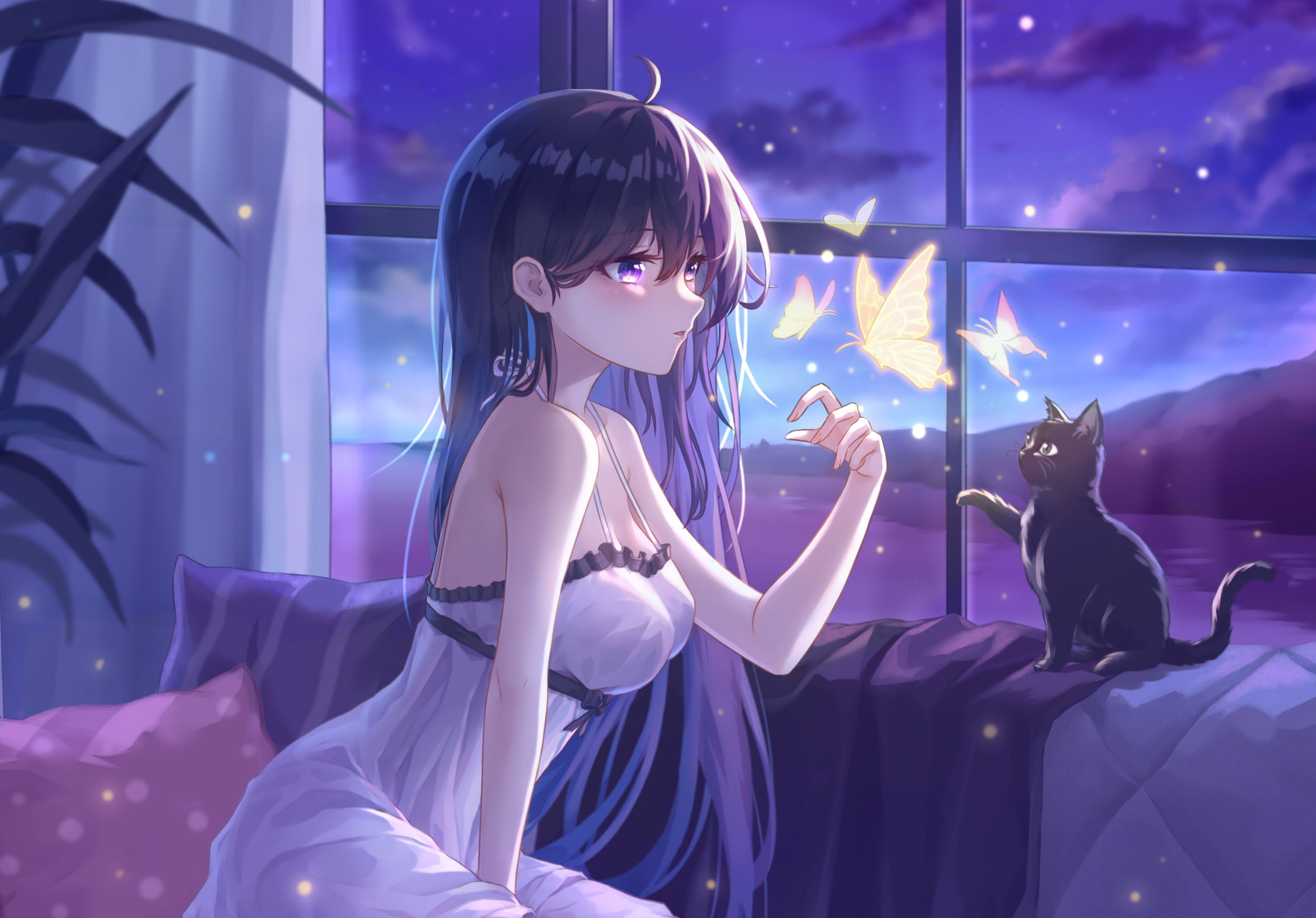 1080P, night, original characters, black cats, butterfly, anime, anime girls, HD Wallpaper