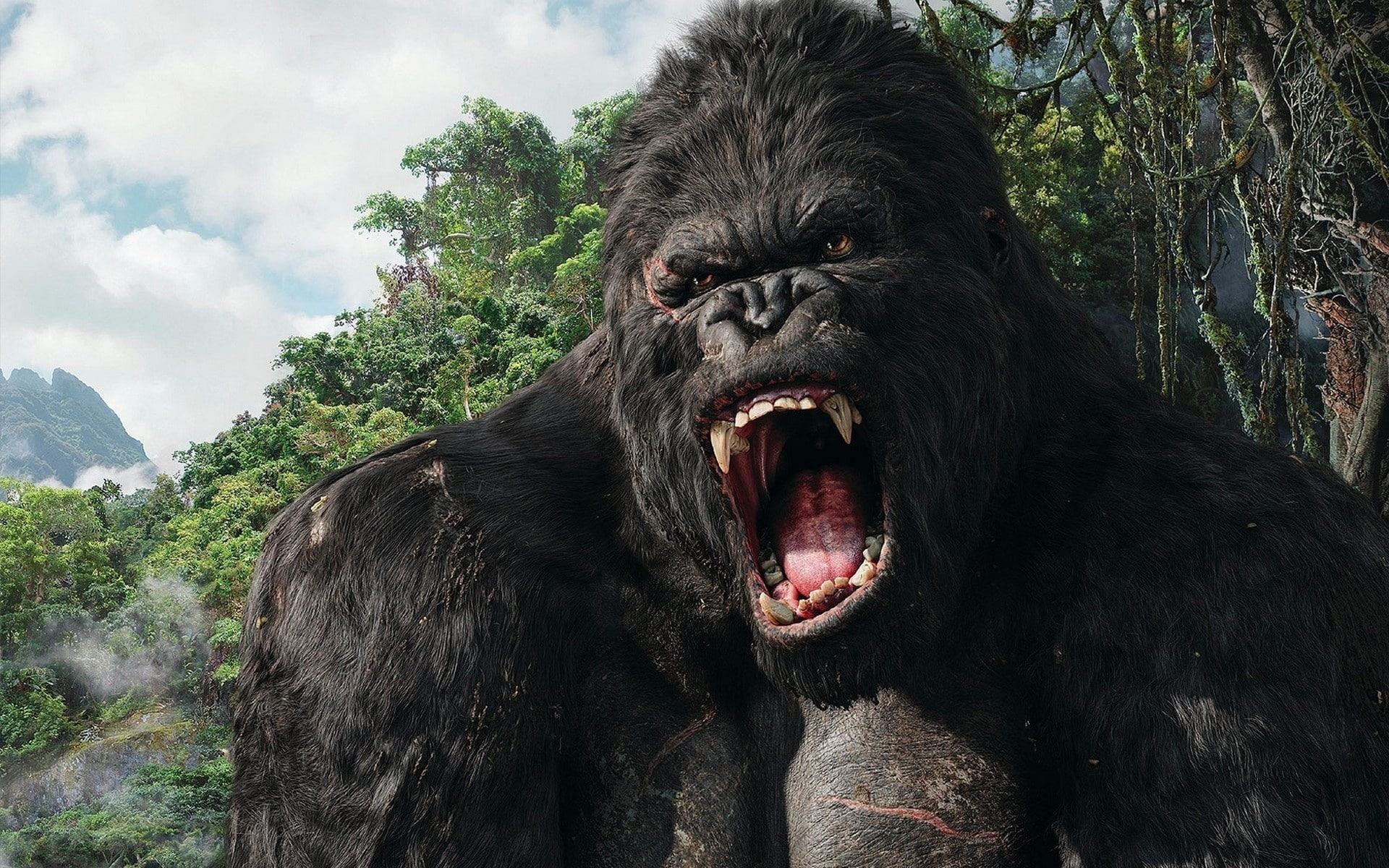 king, 1080P, kong, HD Wallpaper