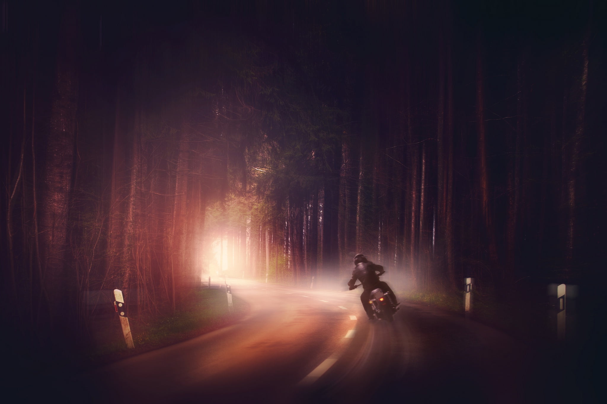 one person, woodland, tree, forest, digital art, sports helmet, black, crash helmet, neck, ride, speed, men, nature, transportation, road, motorcycle, crew, HD Wallpaper
