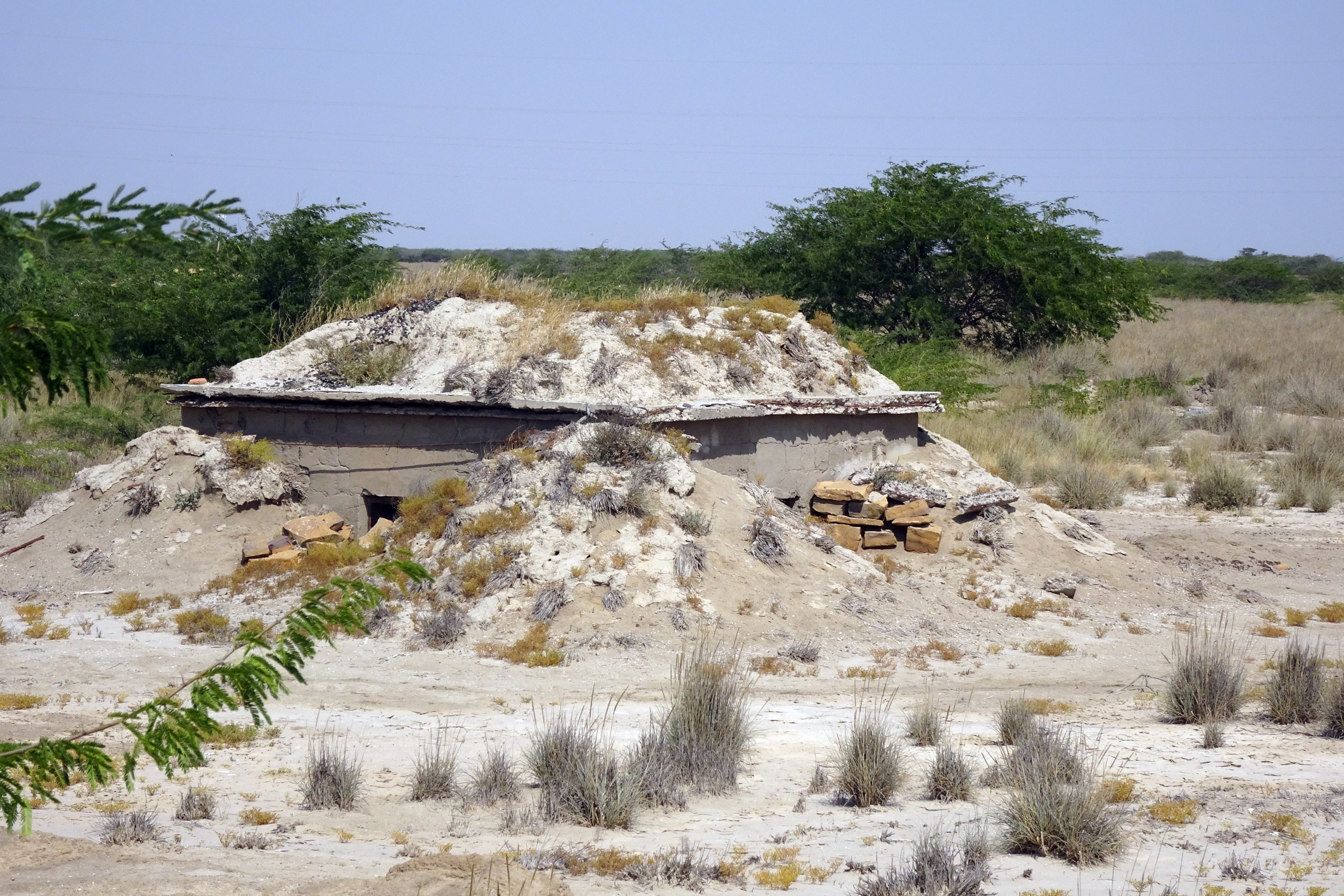 indo-pak, built structure, gujarat, day, tree, construction, field, solid, military, shelter, remote, architecture, outdoors, land, landscape, underground, HD Wallpaper