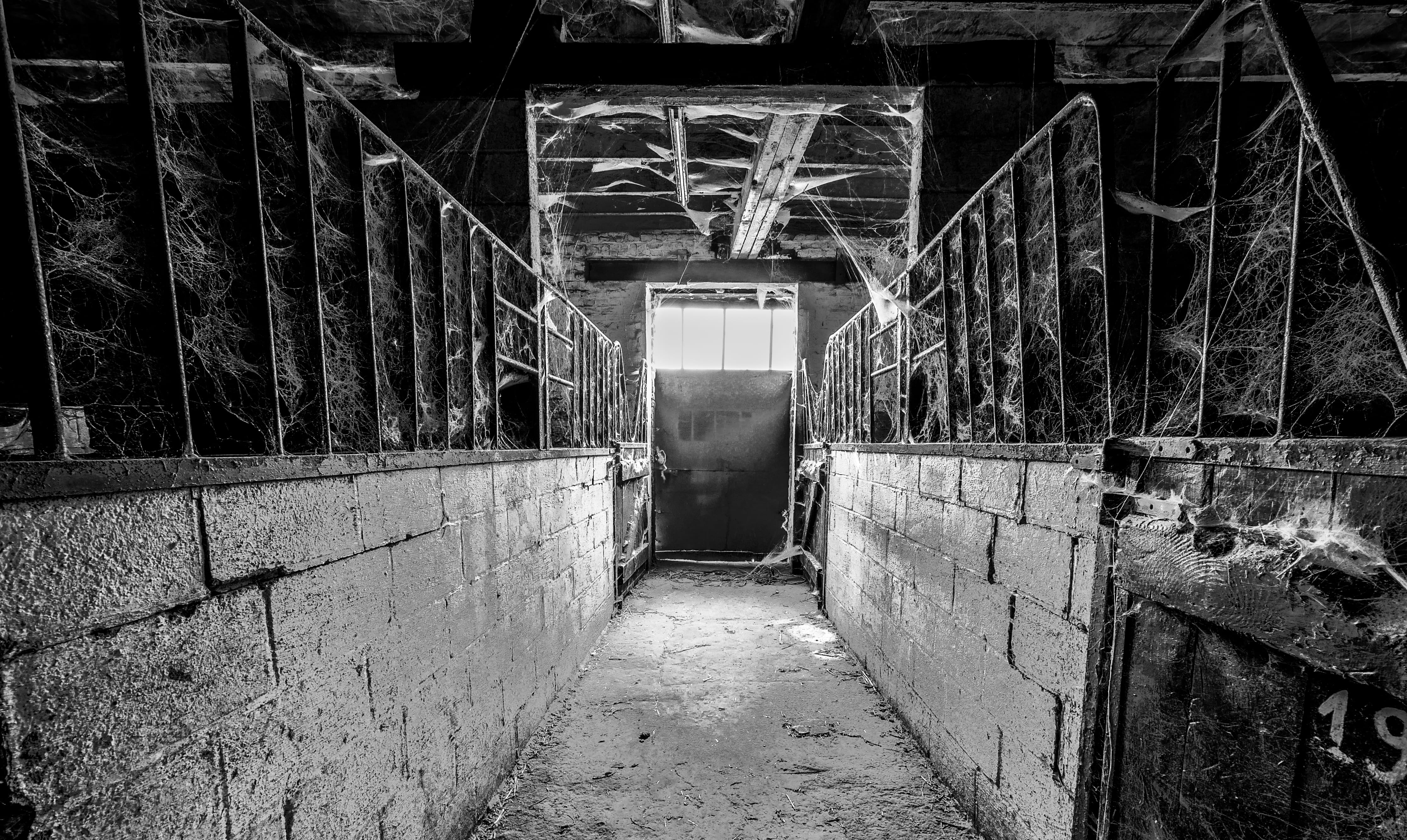 dust, obsolete, messy, indoors, dirt, decline, wall - building feature, damaged, architecture, weathered, the way forward, bad condition, stable, run-down, HD Wallpaper