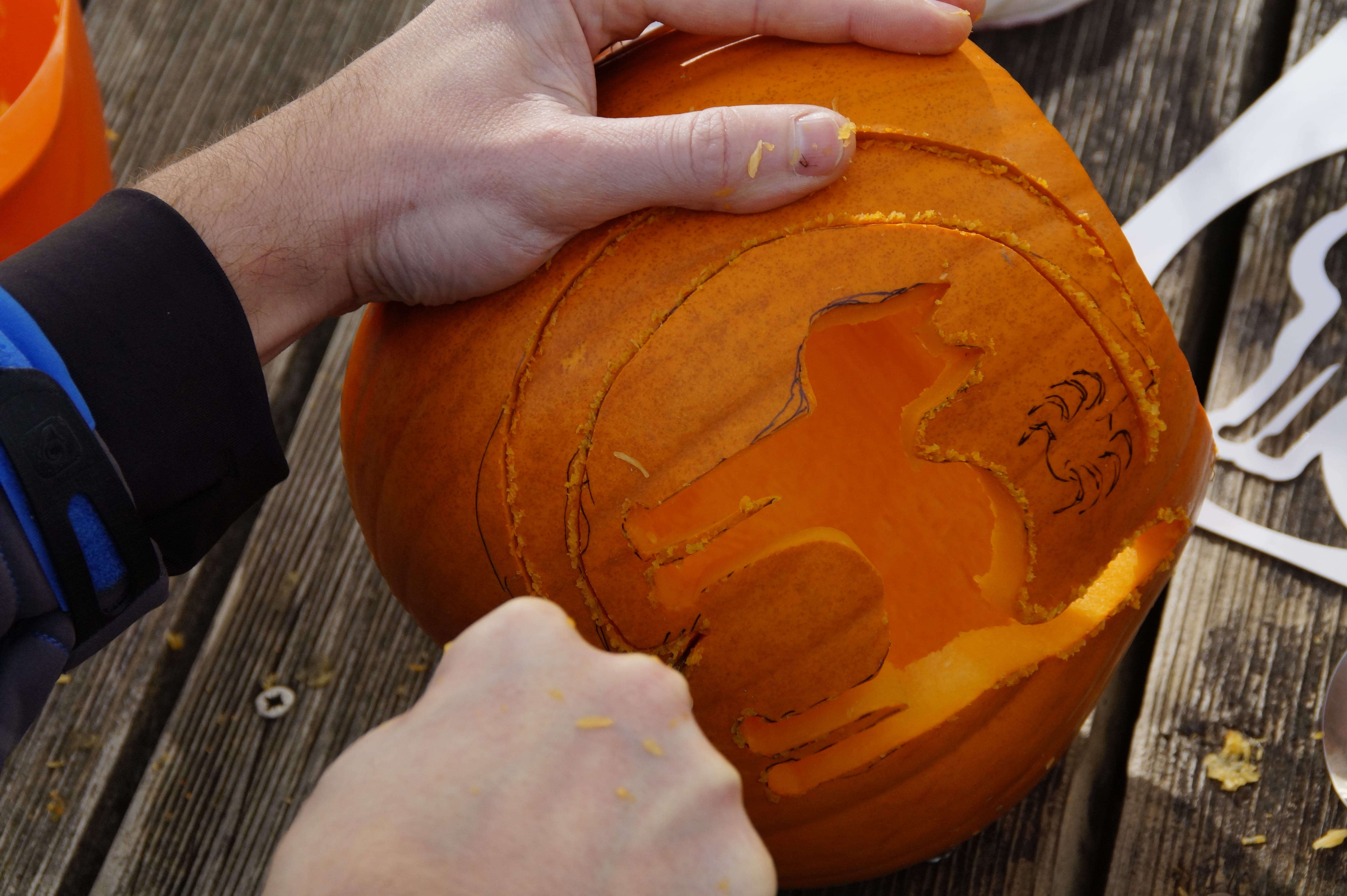 trick or treat, lantern, Pumpkin, lifestyles, occupation, carving pumpkin, finger, body part, men, the witch, orange color, 31 october, holding, record, HD Wallpaper