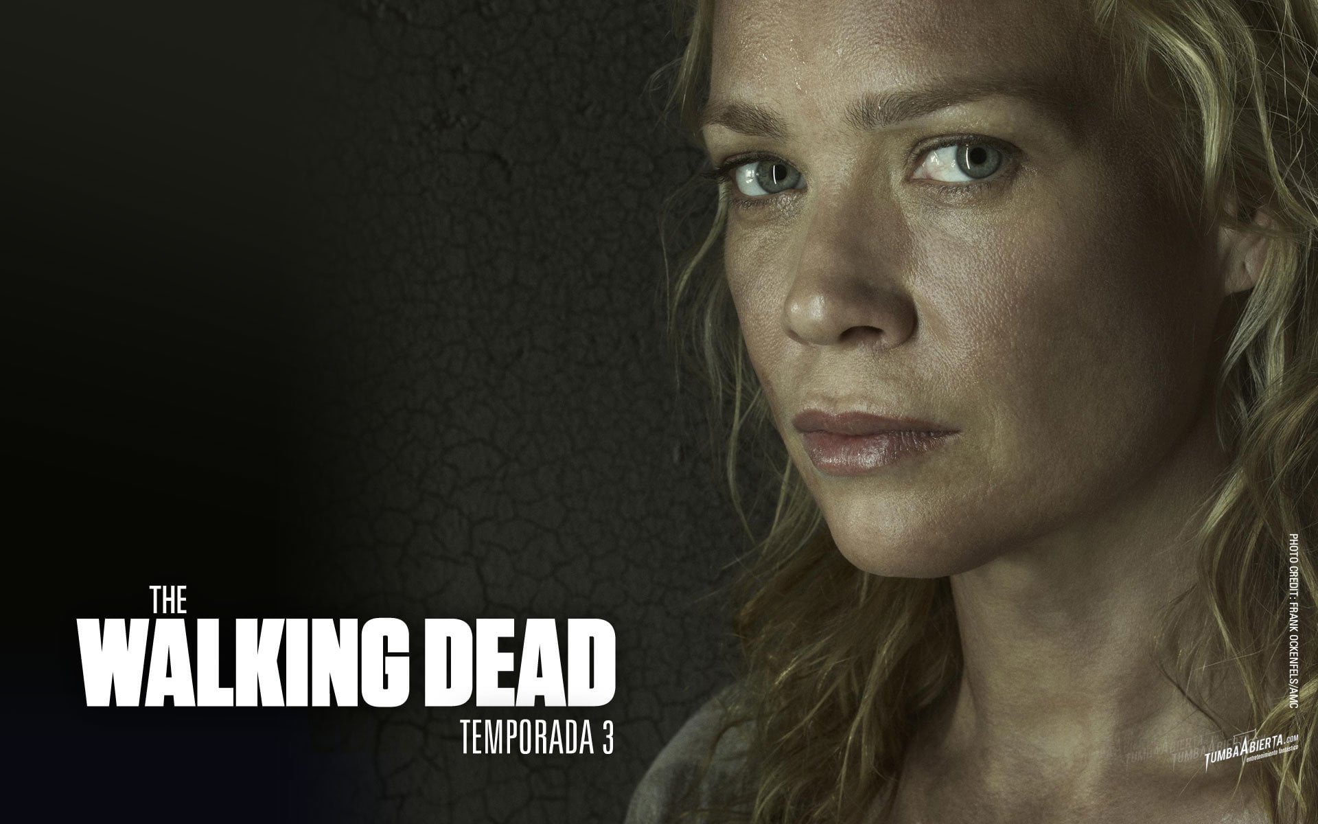 young adult, Andrea (The Walking Dead), hairstyle, serious, indoors, 1080P, beauty, portrait, teenager, contemplation, women, TV Show, studio shot, black background, HD Wallpaper