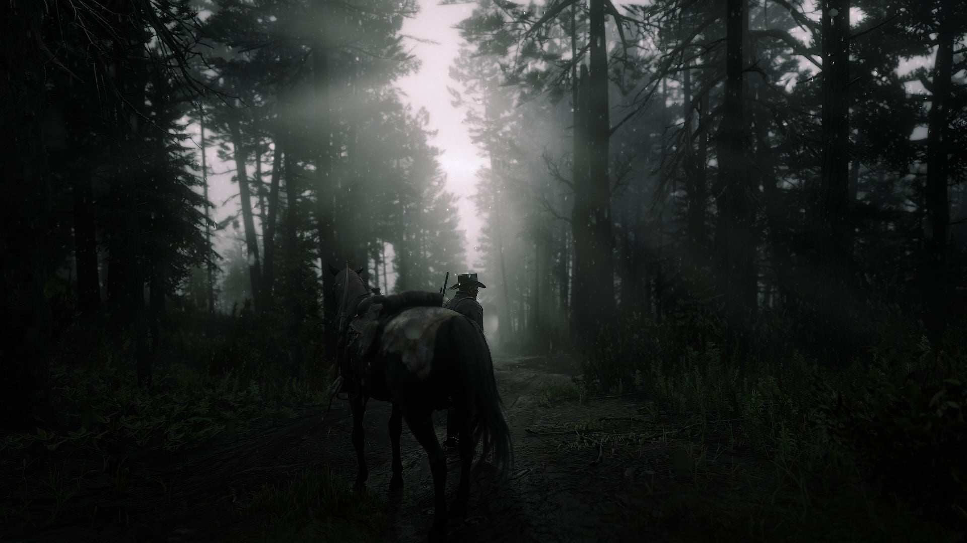 1080P, Rockstar Games, Arthur Morgan, dark, Red Dead Redemption 2, sun rays, forest, HD Wallpaper