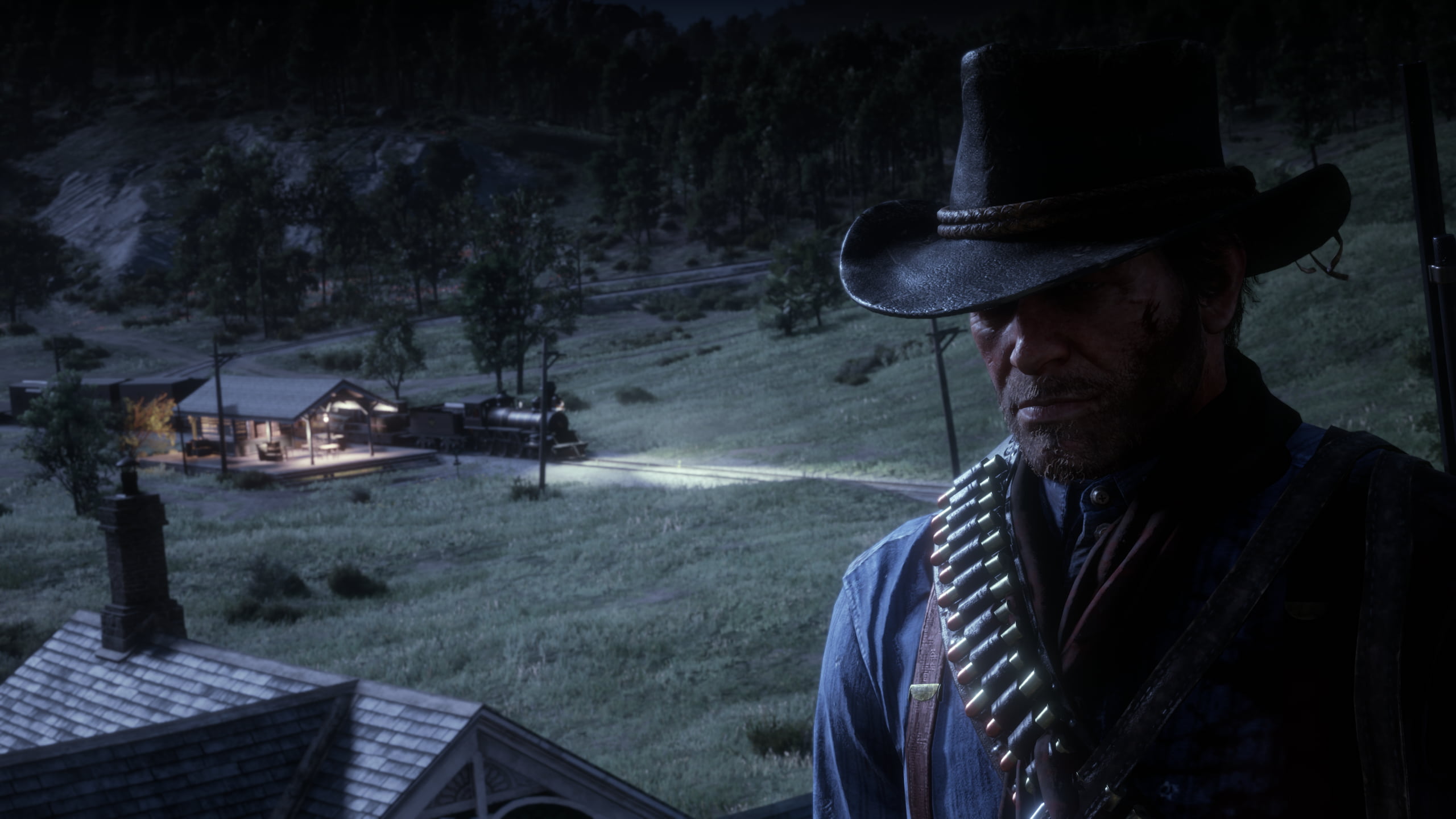 Rockstar Games, Video Game Landscape, Arthur Morgan, Red Dead Redemption 2, 2K, HD Wallpaper