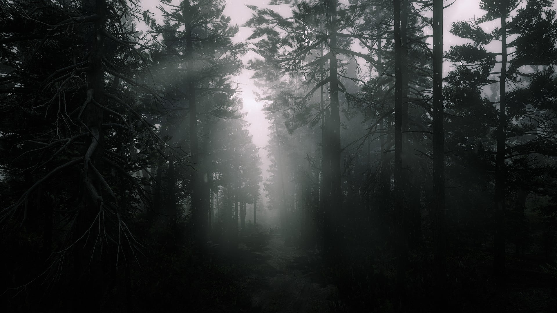 1080P, dark, Arthur Morgan, forest, sun rays, Rockstar Games, Red Dead Redemption 2, HD Wallpaper