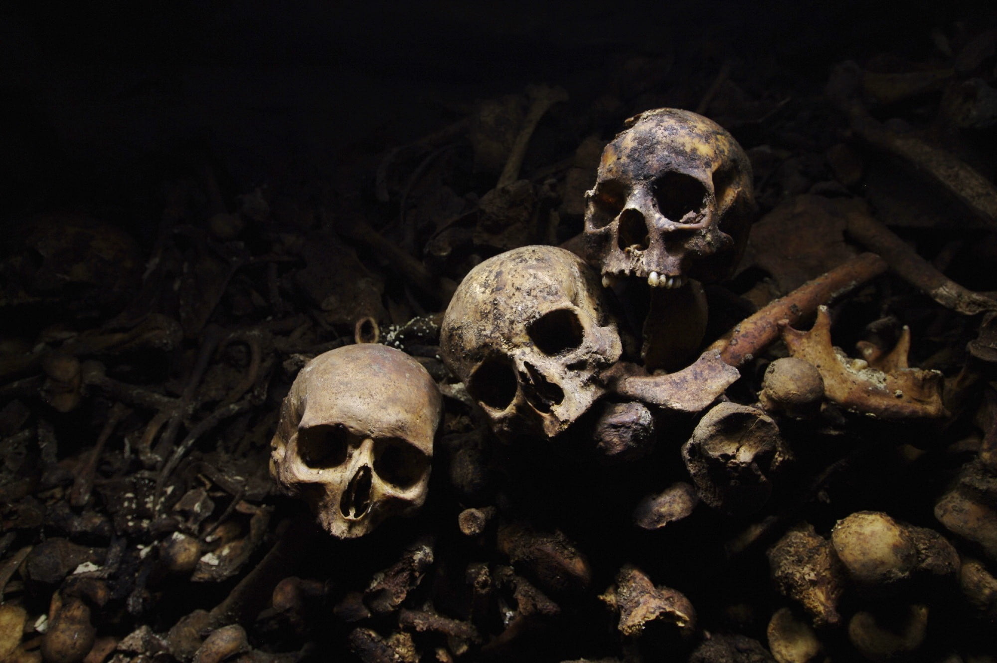 skulls, fear, three, people, body part, horror, still life, aggression, 1080P, human skeleton, night, human body part, skull, skeleton, history, indoors, HD Wallpaper