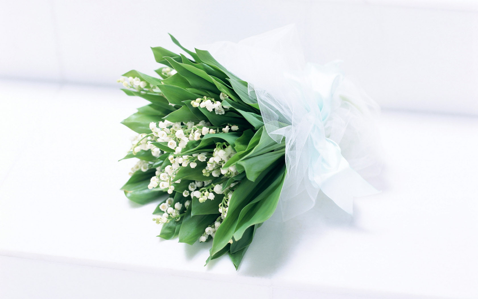 720P, hd, perfume, flowers, purity, HD Wallpaper