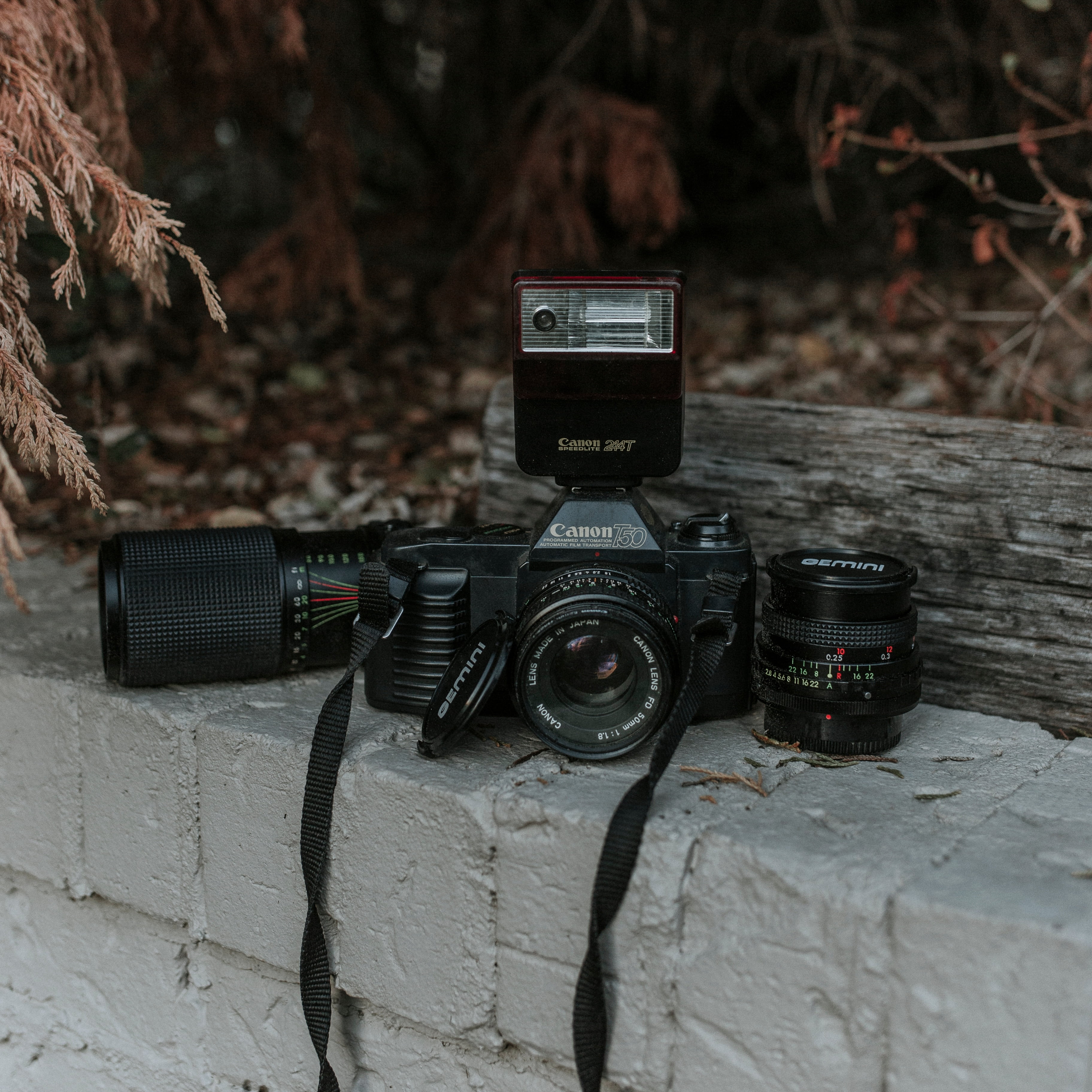 cinder, day, retro styled, technology, vintage, nature, photography, leaves, connection, canon, table, tree, equipment, bricks, antique, camera, no people, Phone HD Wallpaper