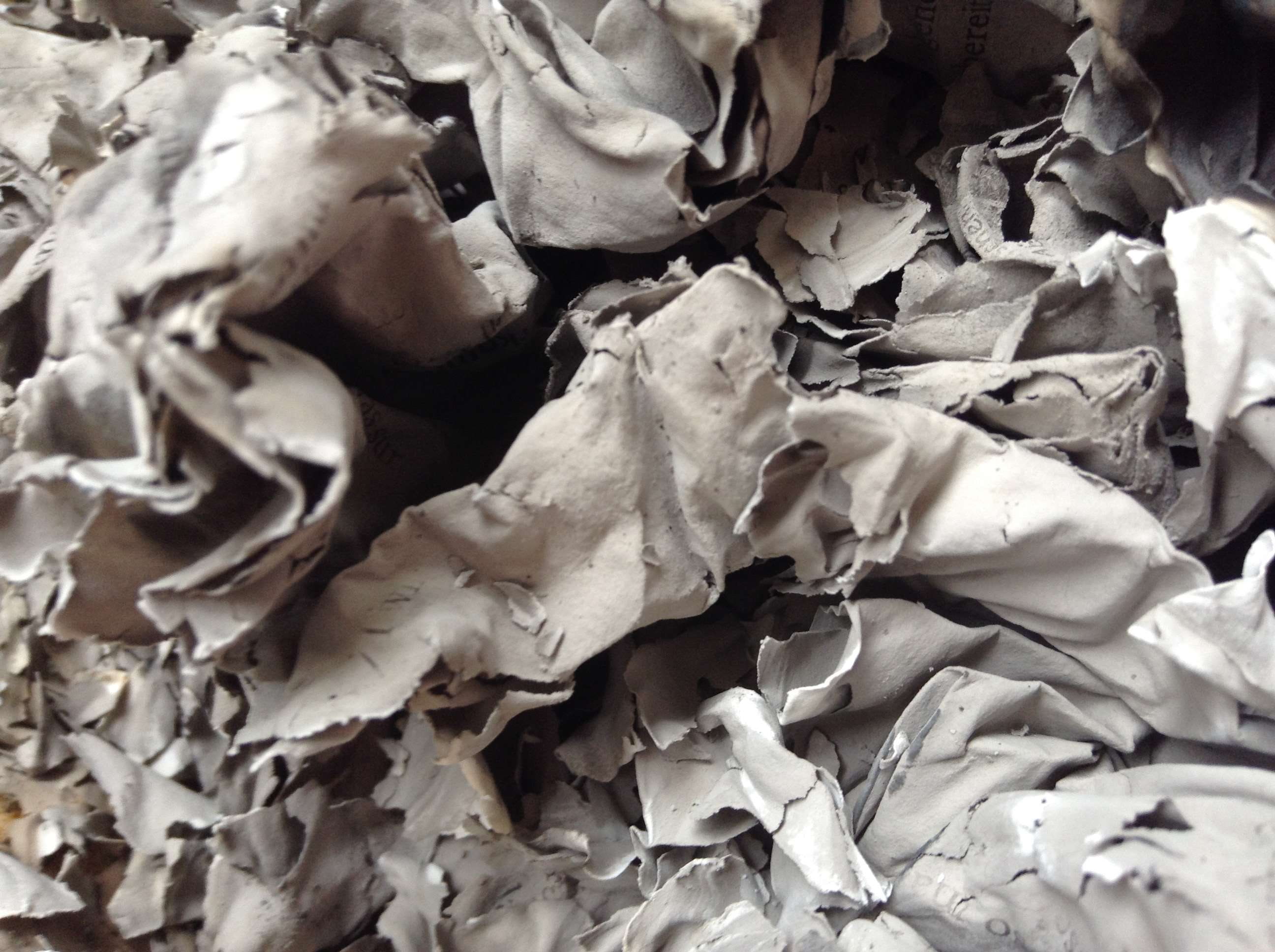 fragility, backgrounds, wilted plant, dried, ash, abundance, dry, plant part, crumpled, close-up, vulnerability, close up view, grey, cinder, pattern, leaves, HD Wallpaper