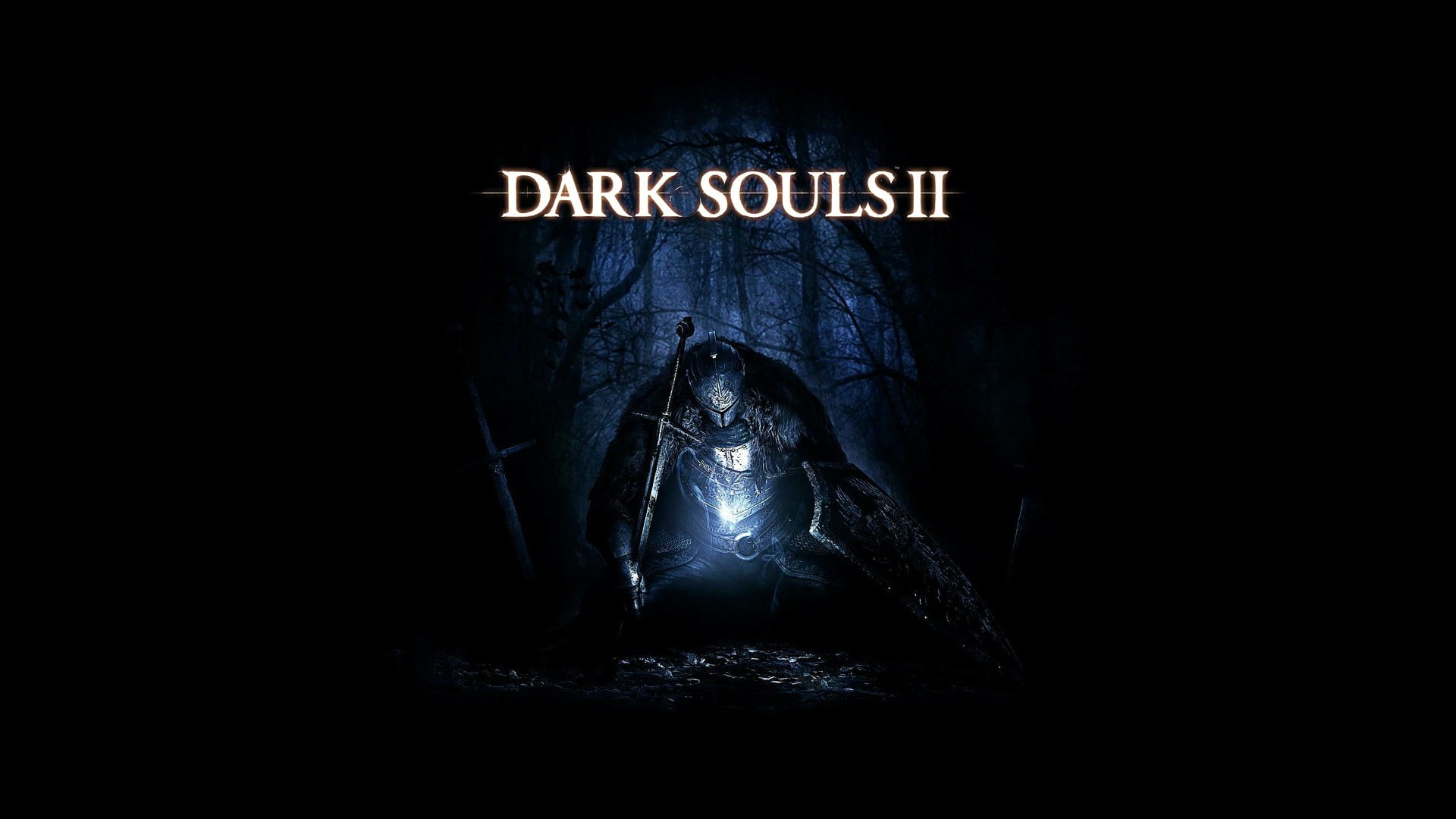 1080P, Dark Souls, Dark Souls II, HD Wallpaper