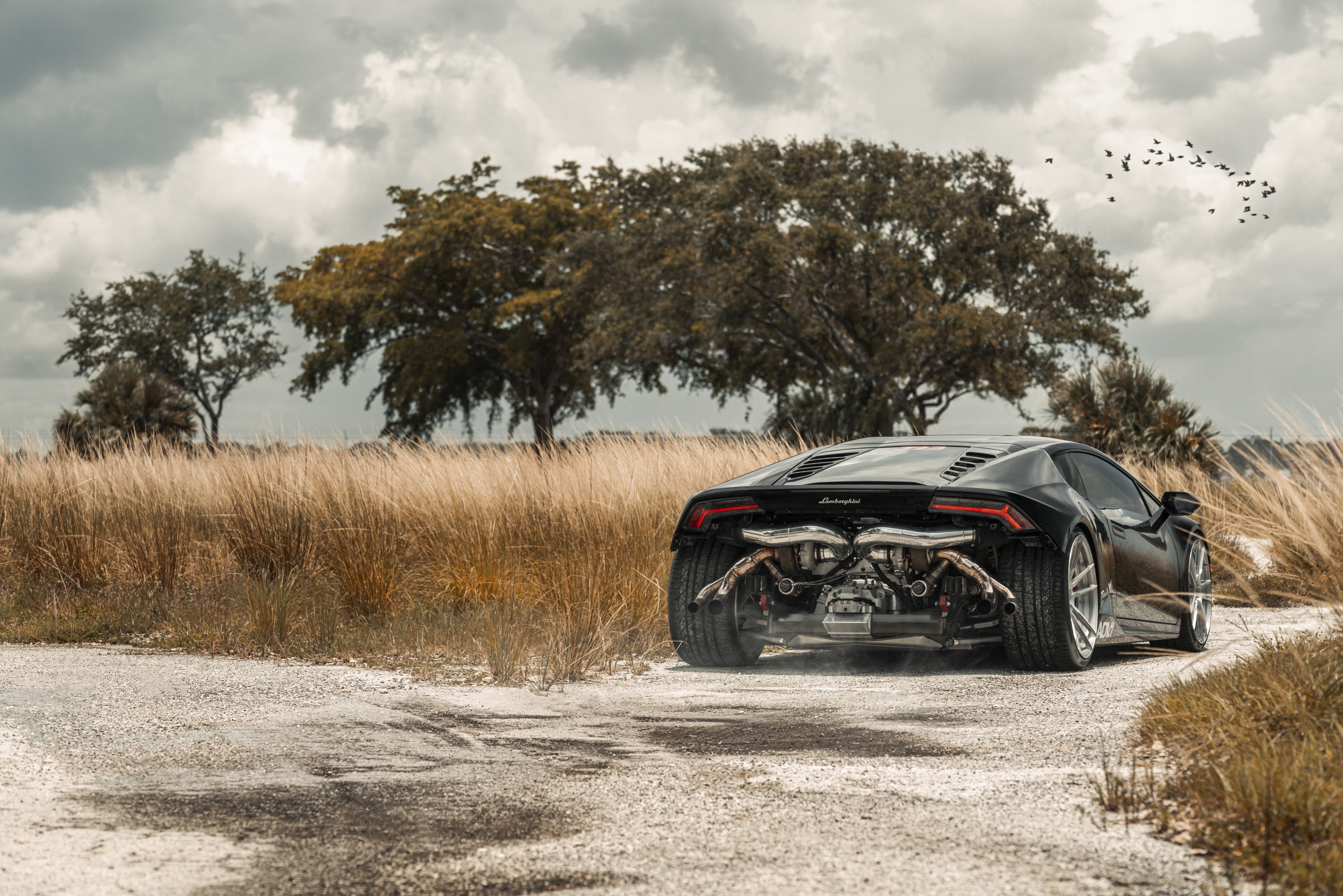 land, landscape, birds, day, dry grass, exhaust pipes, plant, field, growth, clouds, Lamborghini, Lamborghini Huracan, nature, motor vehicle, transportation, HD Wallpaper