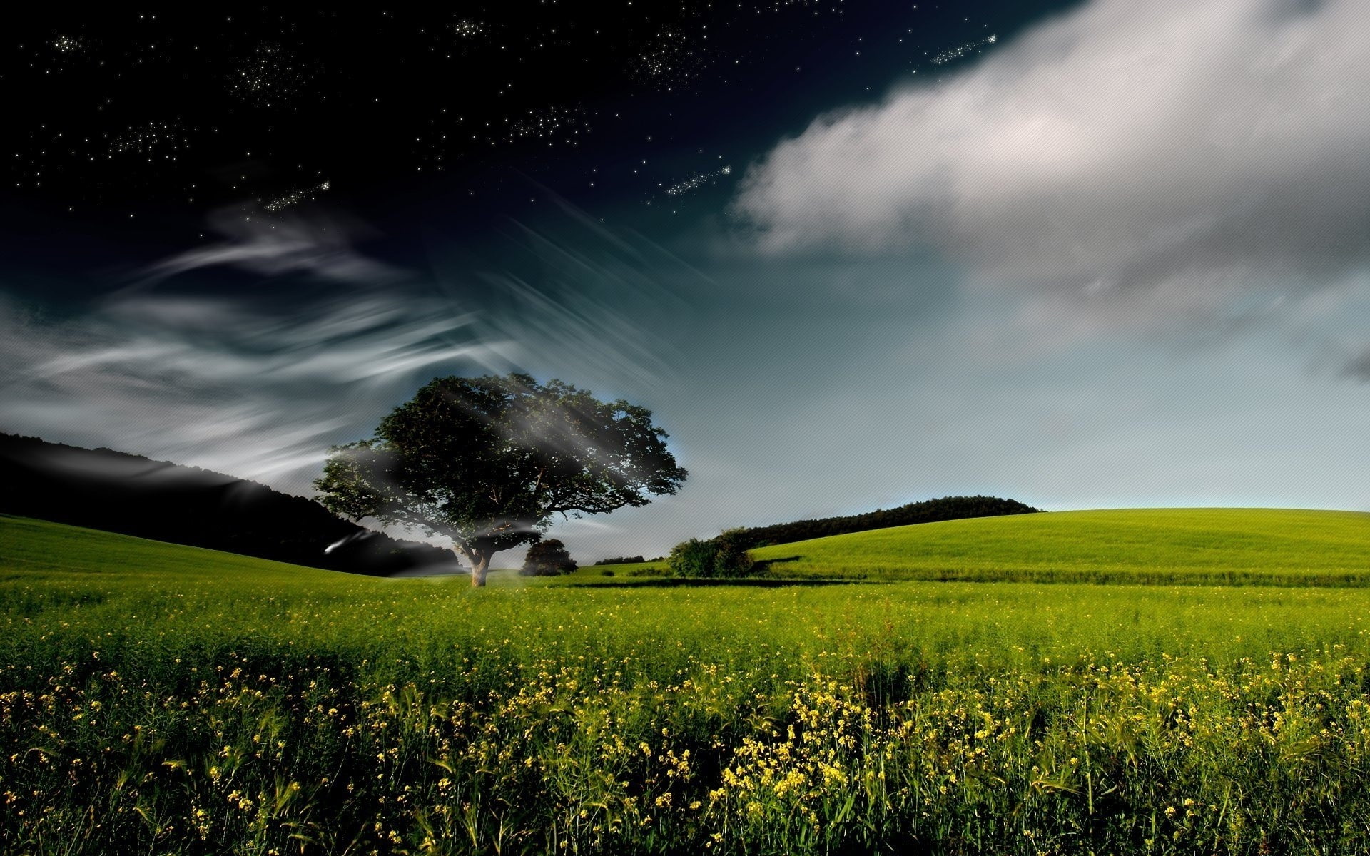 land, star - space, Night, Sky, Clouds, environment, non-urban scene, plant, Stars, grass, beauty in nature, landscape, no people, idyllic, Whirlwind, scenics - nature, HD Wallpaper