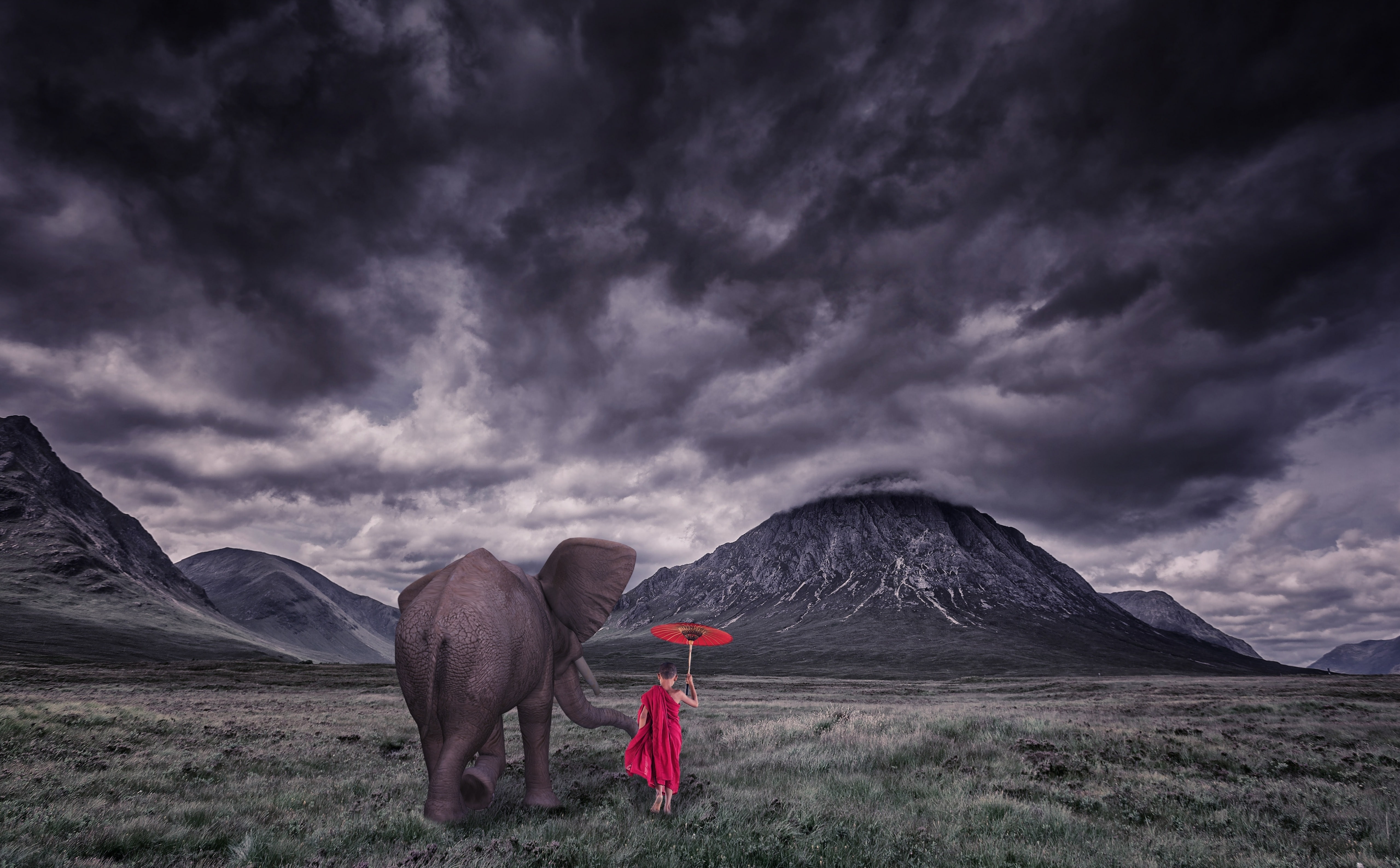 Creative, landscape, mountain, Storm, land, scenics - nature, nature, field, Mountains, one animal, environment, Animal, sky, rear view, Clouds, cloud - sky, HD Wallpaper