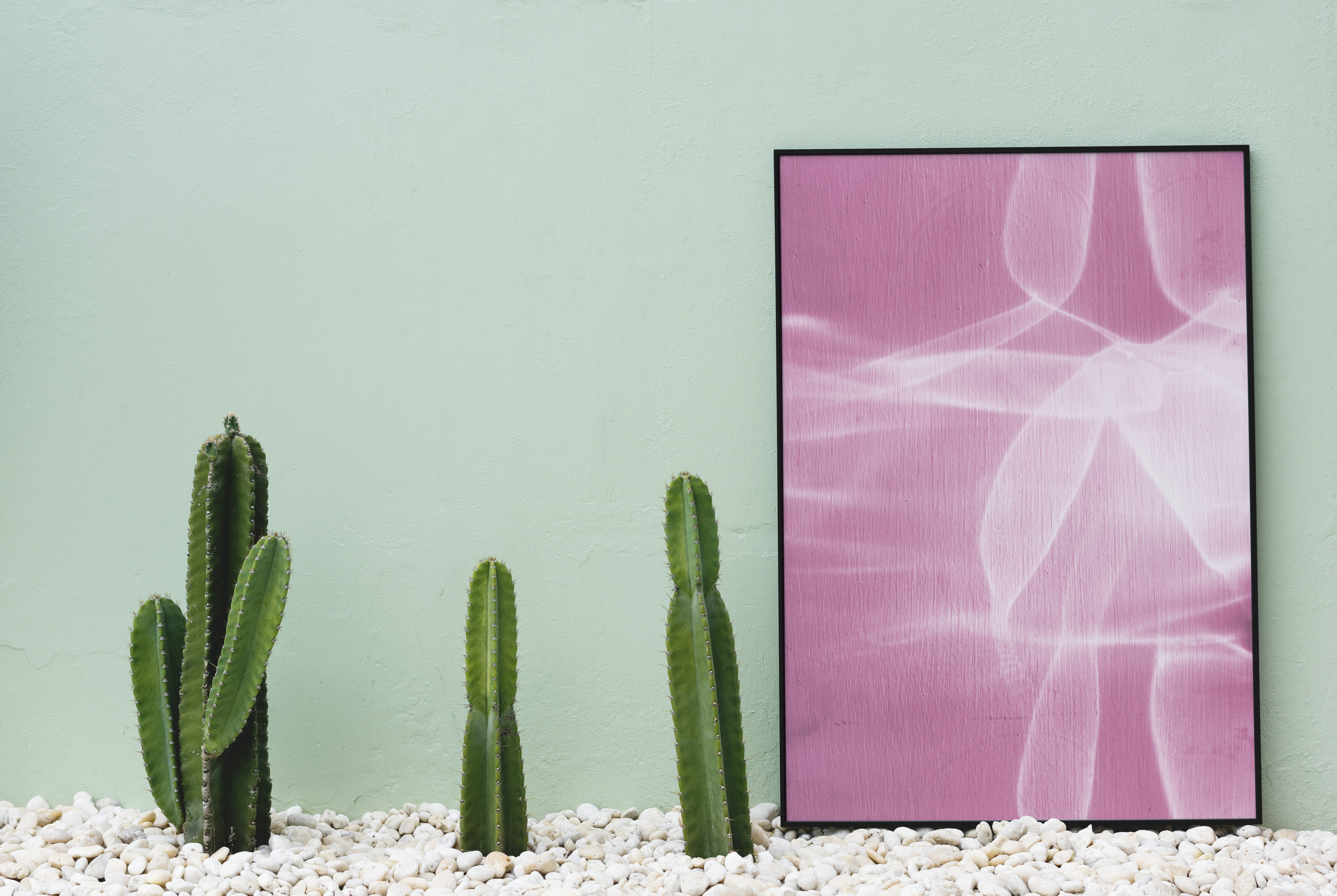 pink color, photo, plant, white, flower, day, home decor, frame, architecture, no people, beautiful, decor, growth, inspiration, green color, pastel, sunlight, HD Wallpaper